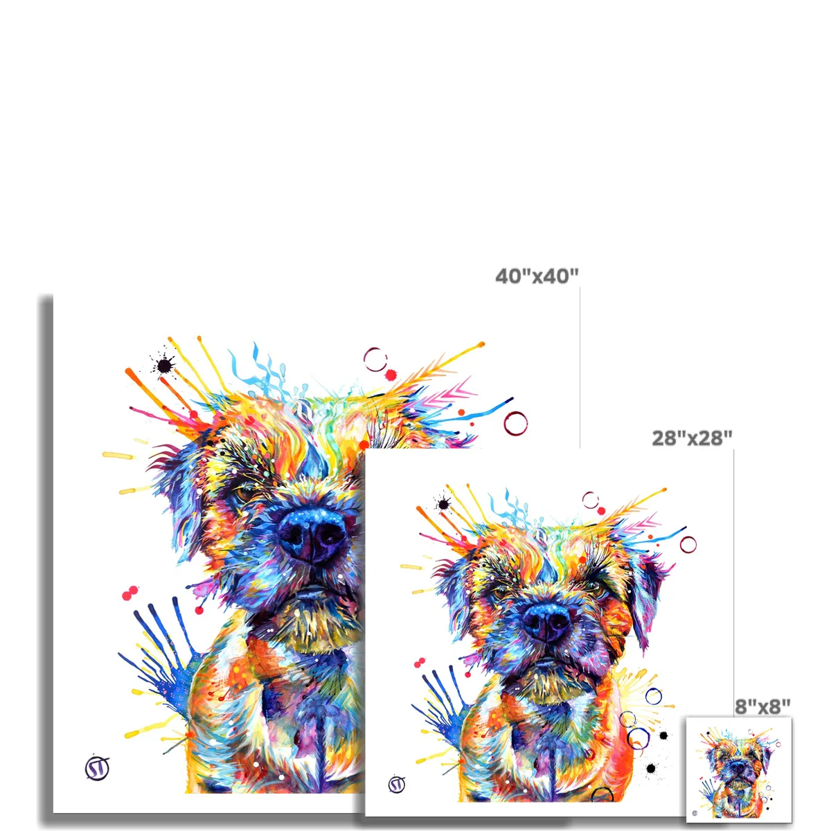 Allan the Border Terrier Fine Art Print - Image 3