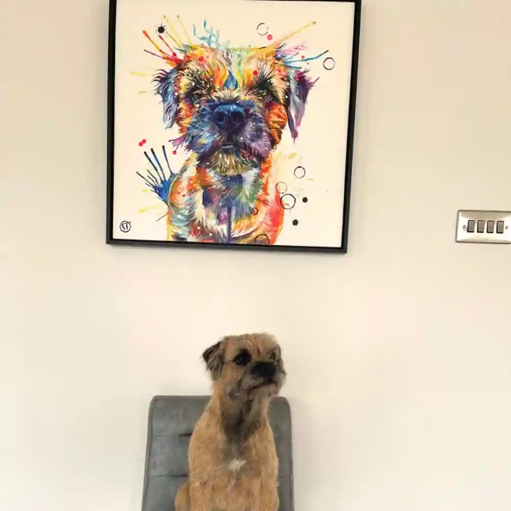 Allan the Border Terrier Framed Canvas - Image 3