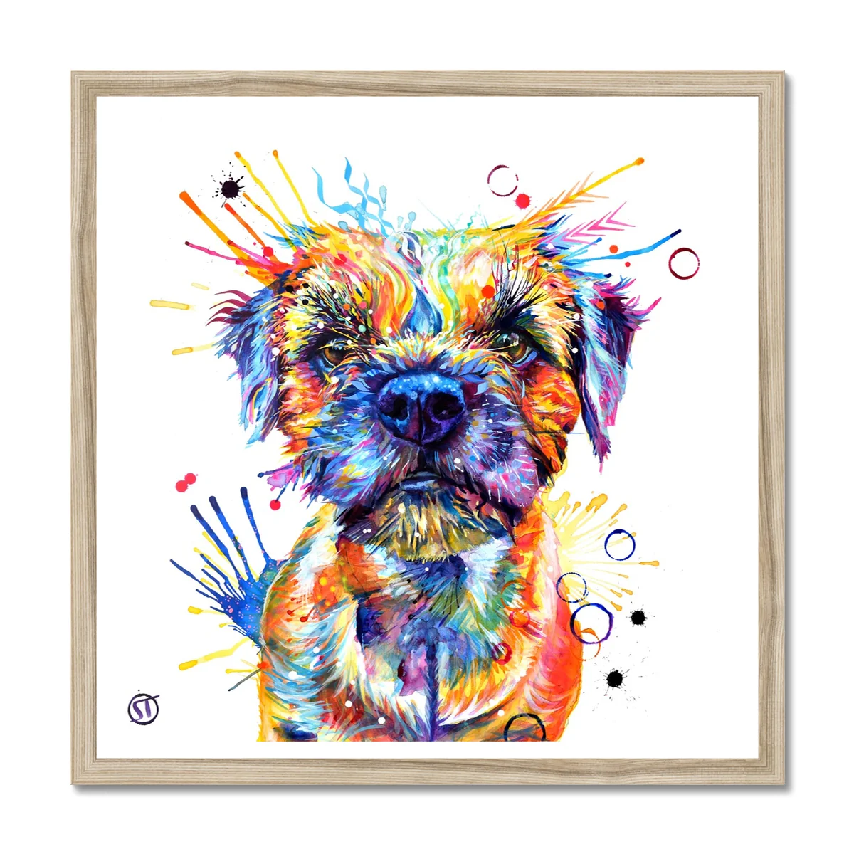 Allan the Border Terrier Framed Print - Image 3