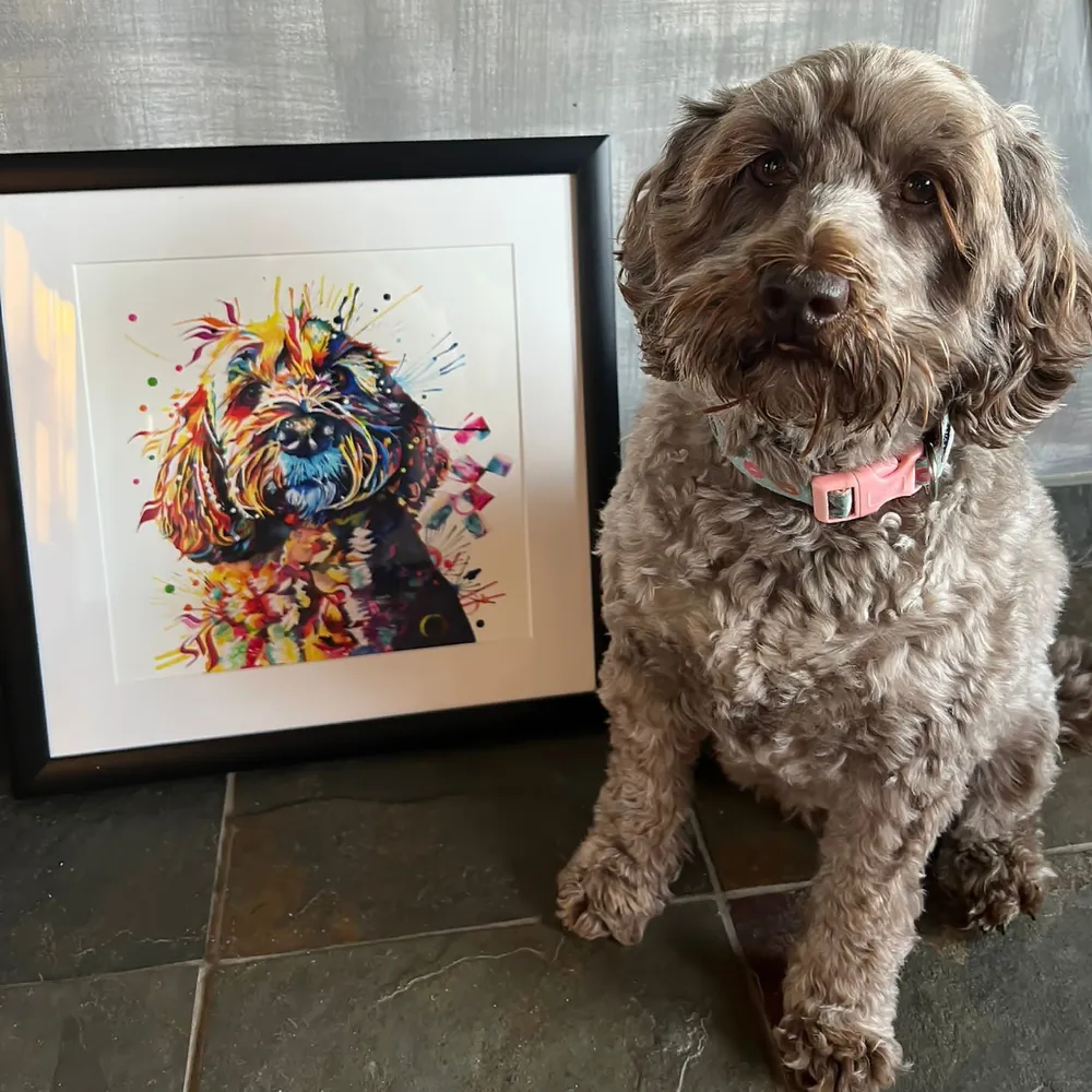 Barney the Cockapoo Fine Art Print - Image 3