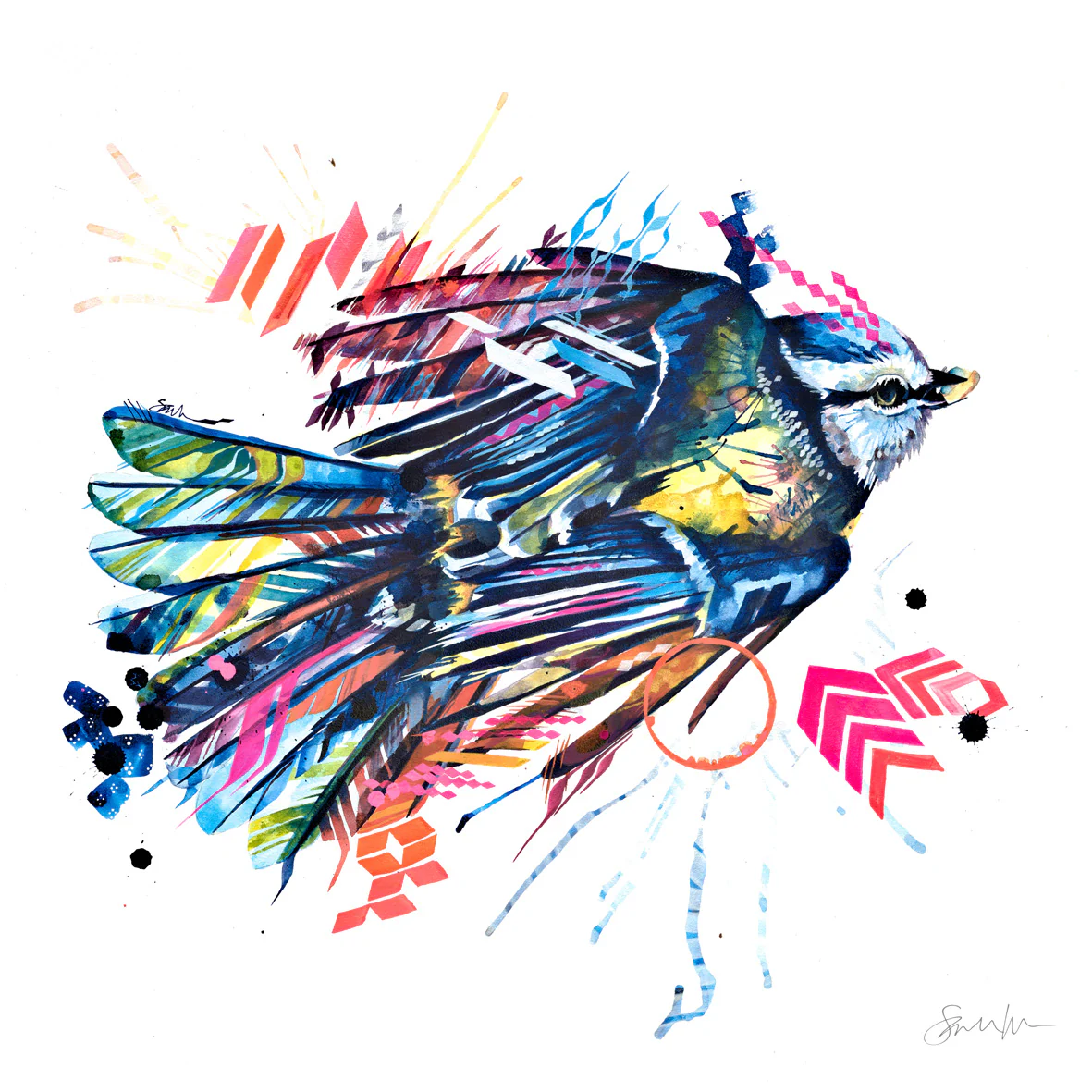 Basil the Blue Tit Canvas - Image 6