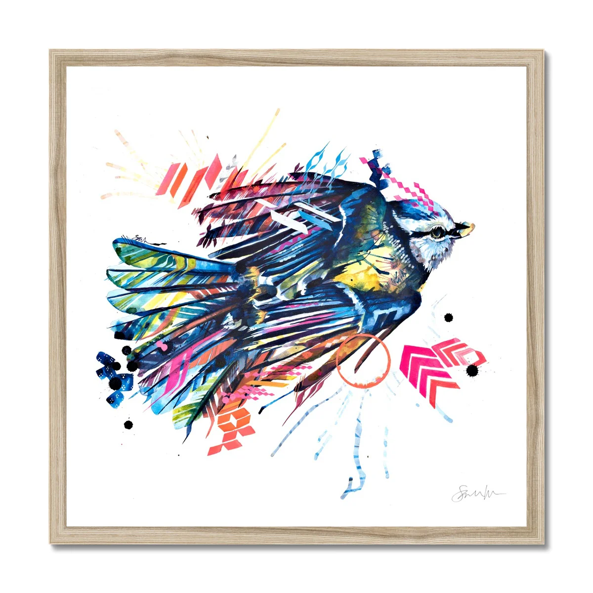 Basil the Blue Tit Framed Print - Image 3
