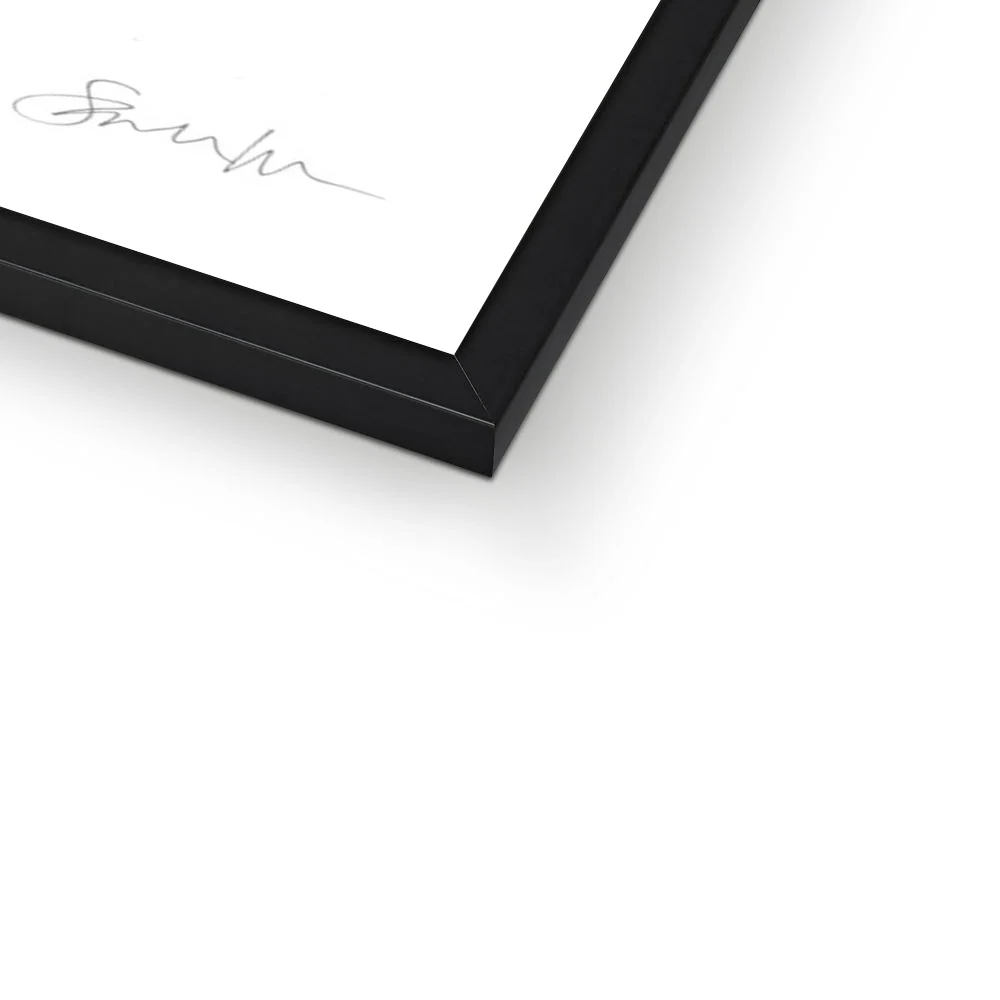 Basil the Blue Tit Framed Print - Image 5