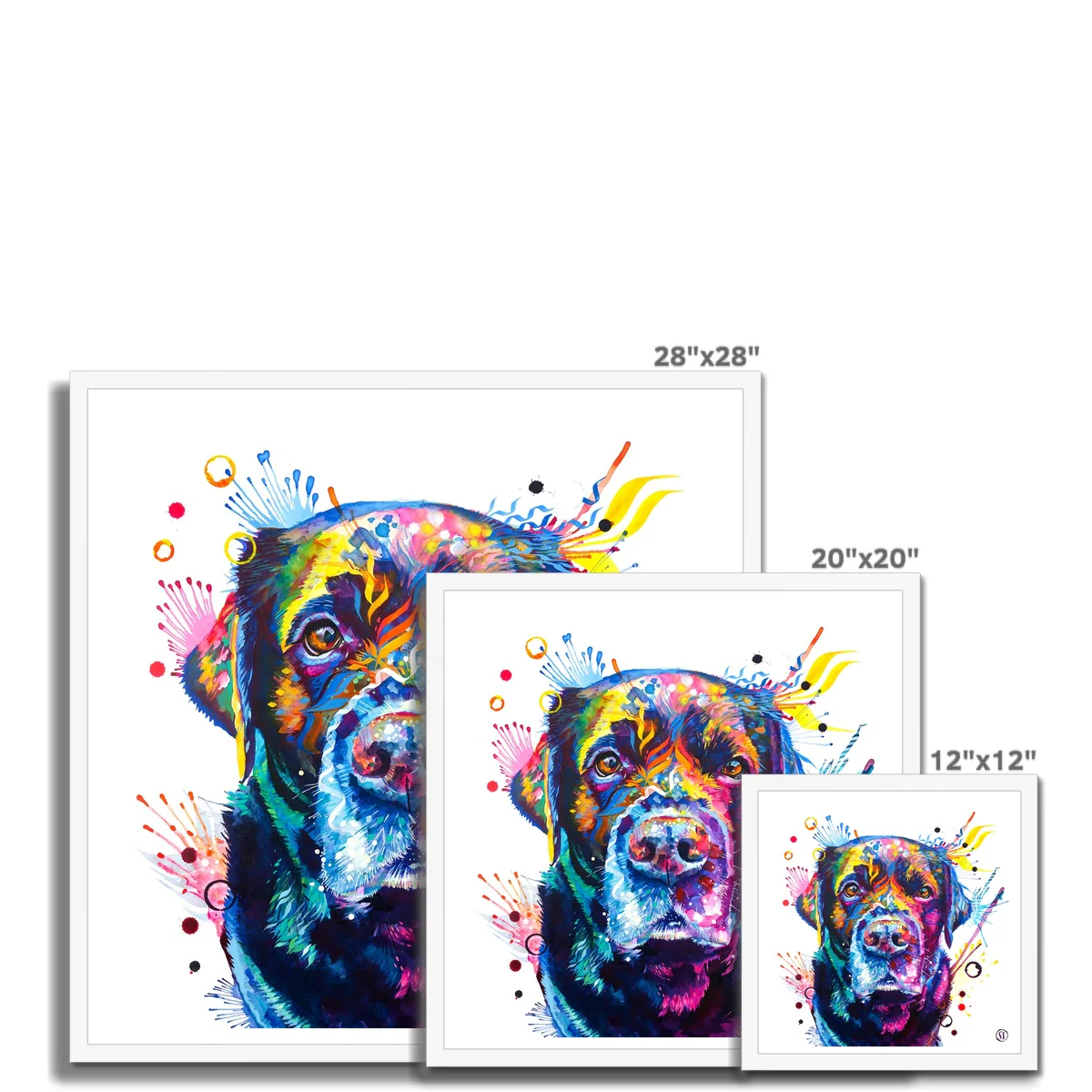 Beckett the Black Lab Framed Print - Image 7