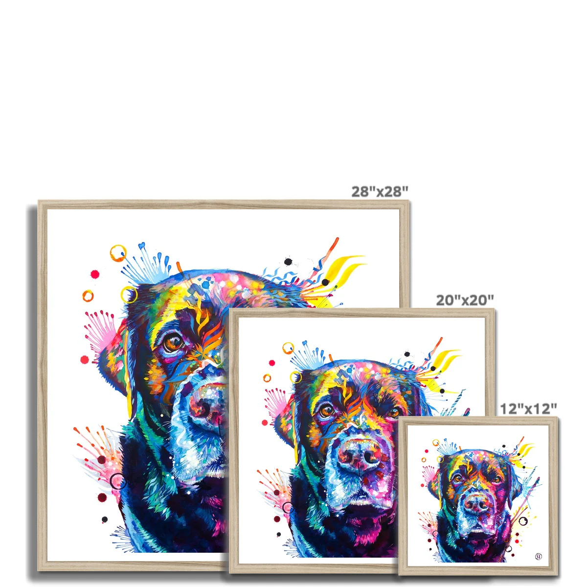 Beckett the Black Lab Framed Print - Image 9
