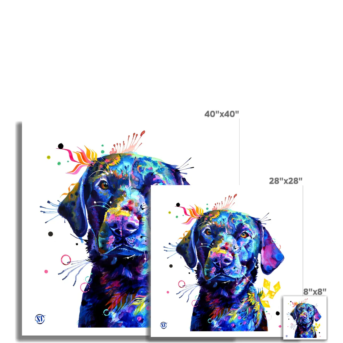 Bonkers the Black Labrador Fine Art Print - Image 3
