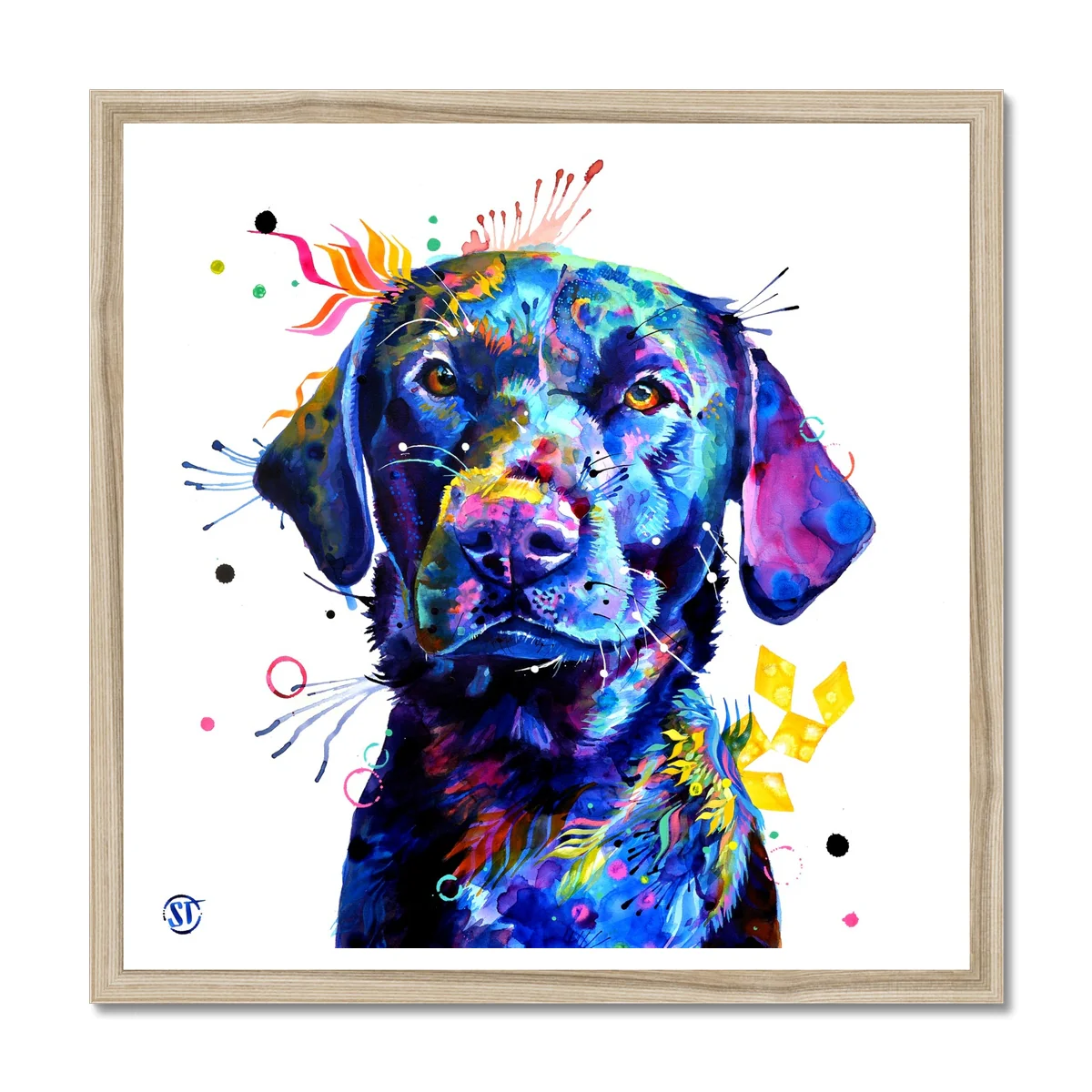 Bonkers the Black Labrador Framed Print - Image 3