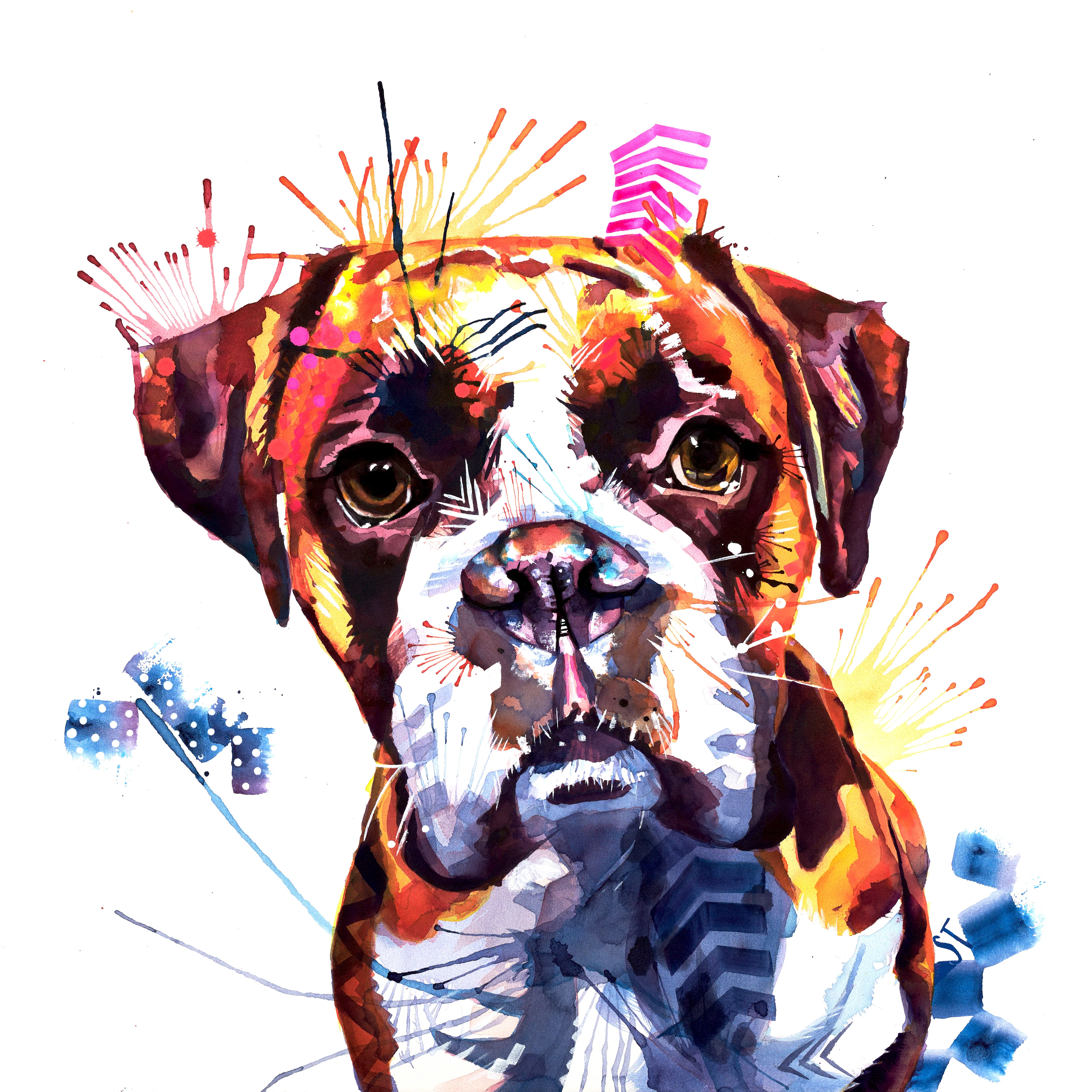Loki the Boxer Framed Canvas - Image 3