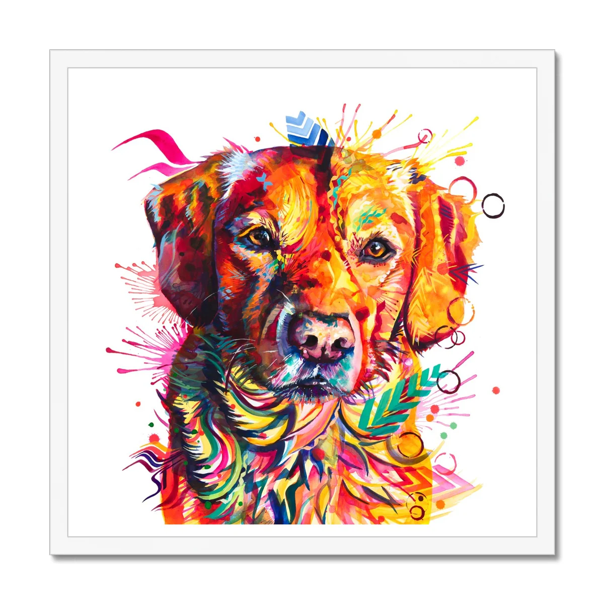 Brodie the Labrador Framed Print - Image 2