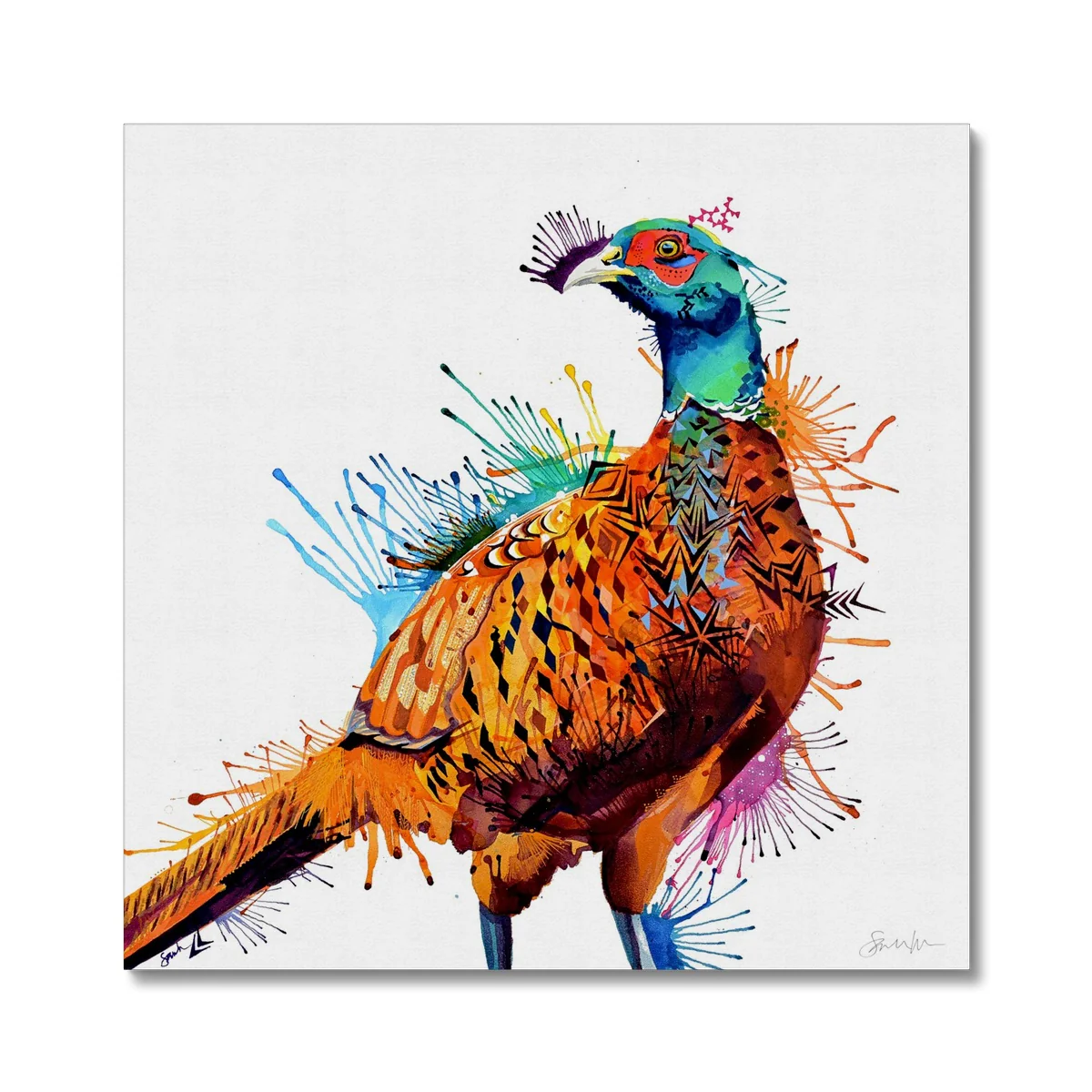 Burberry the Pheasant - Canvas
