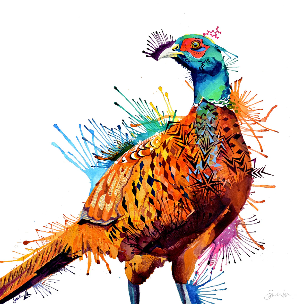 Burberry the Pheasant - Framed Canvas - Image 4
