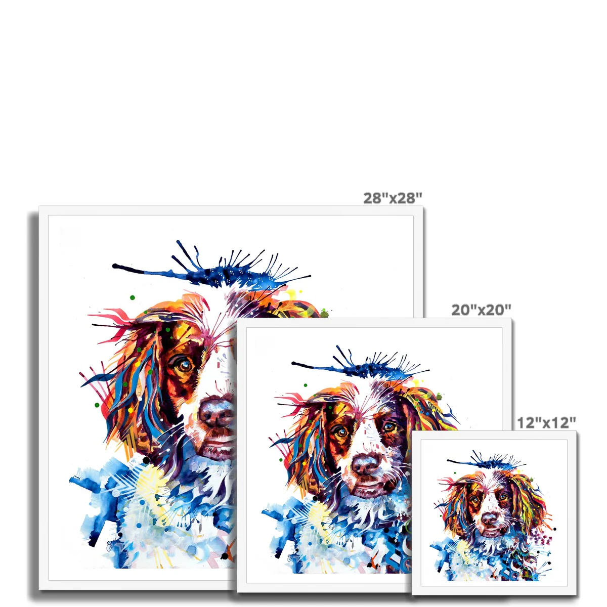 Buster the Springer Framed Print - Image 10