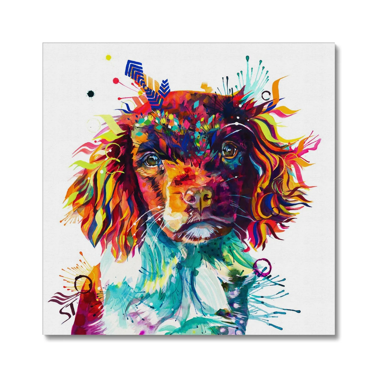 Cally the Springer Spaniel Canvas