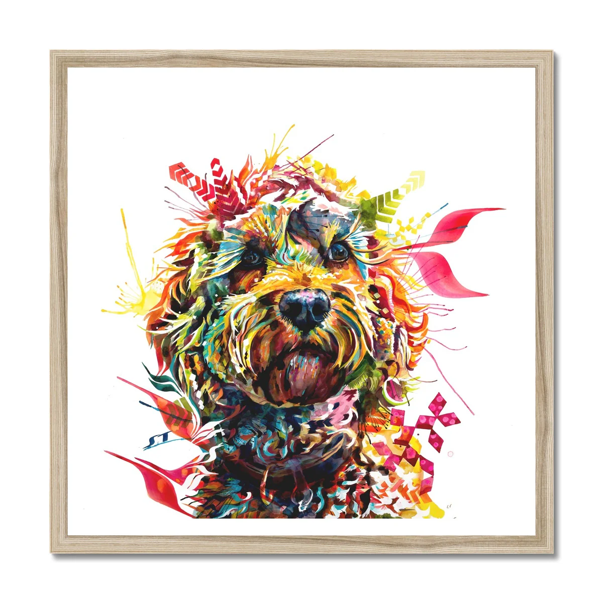 Mabel the Cockapoo Framed Print - Image 3
