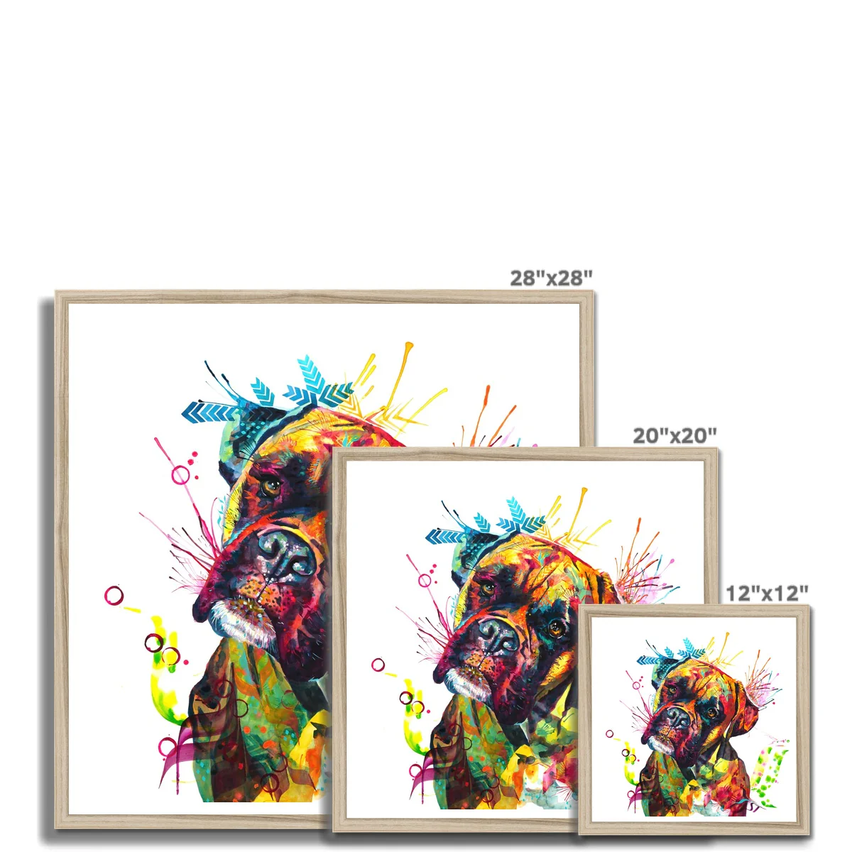 Cooper the Boxer Framed Print - Image 10