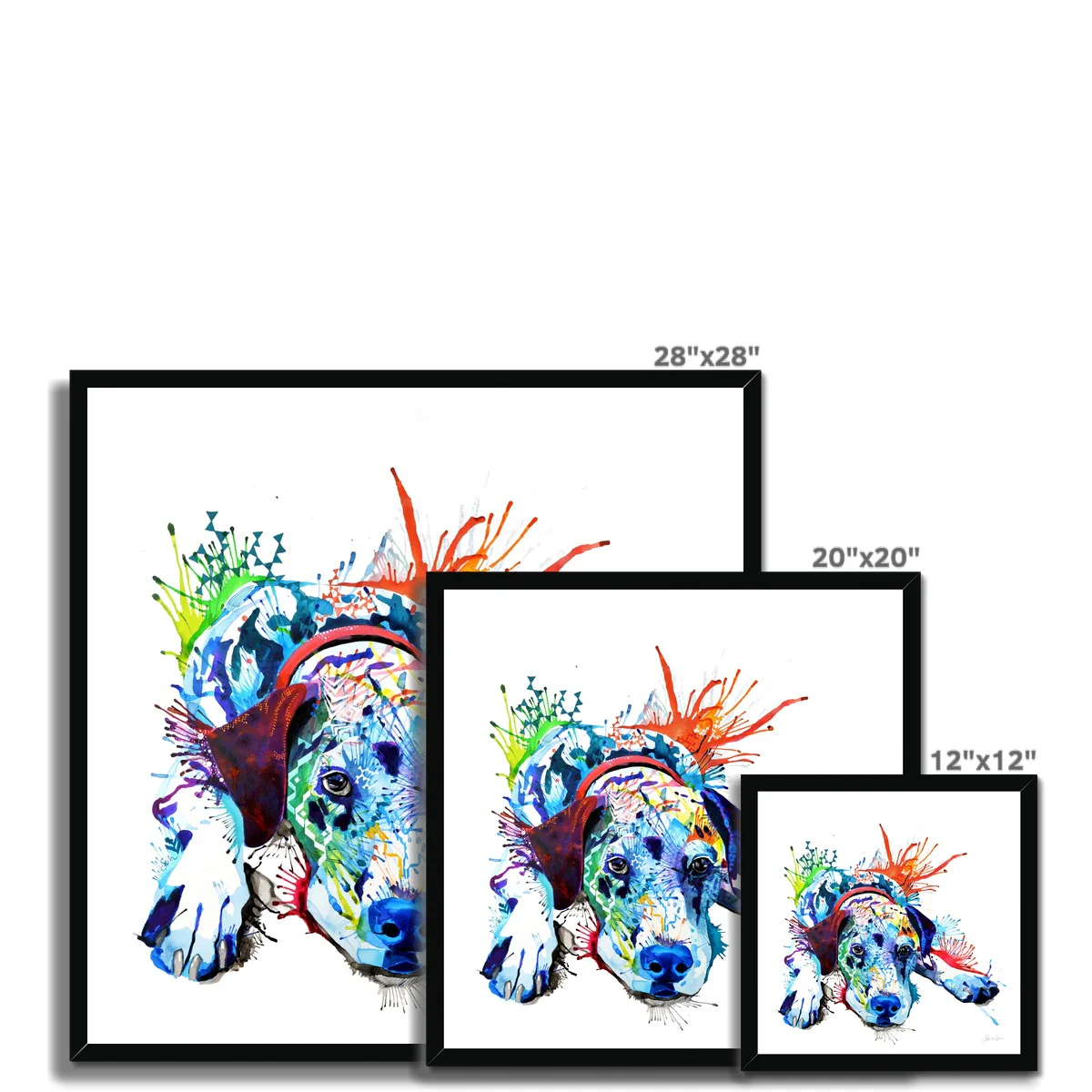 Sam the Dalmatian Framed Print - Image 10