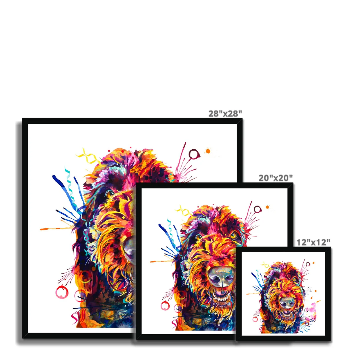Dave the Newfypoo Framed Print - Image 11