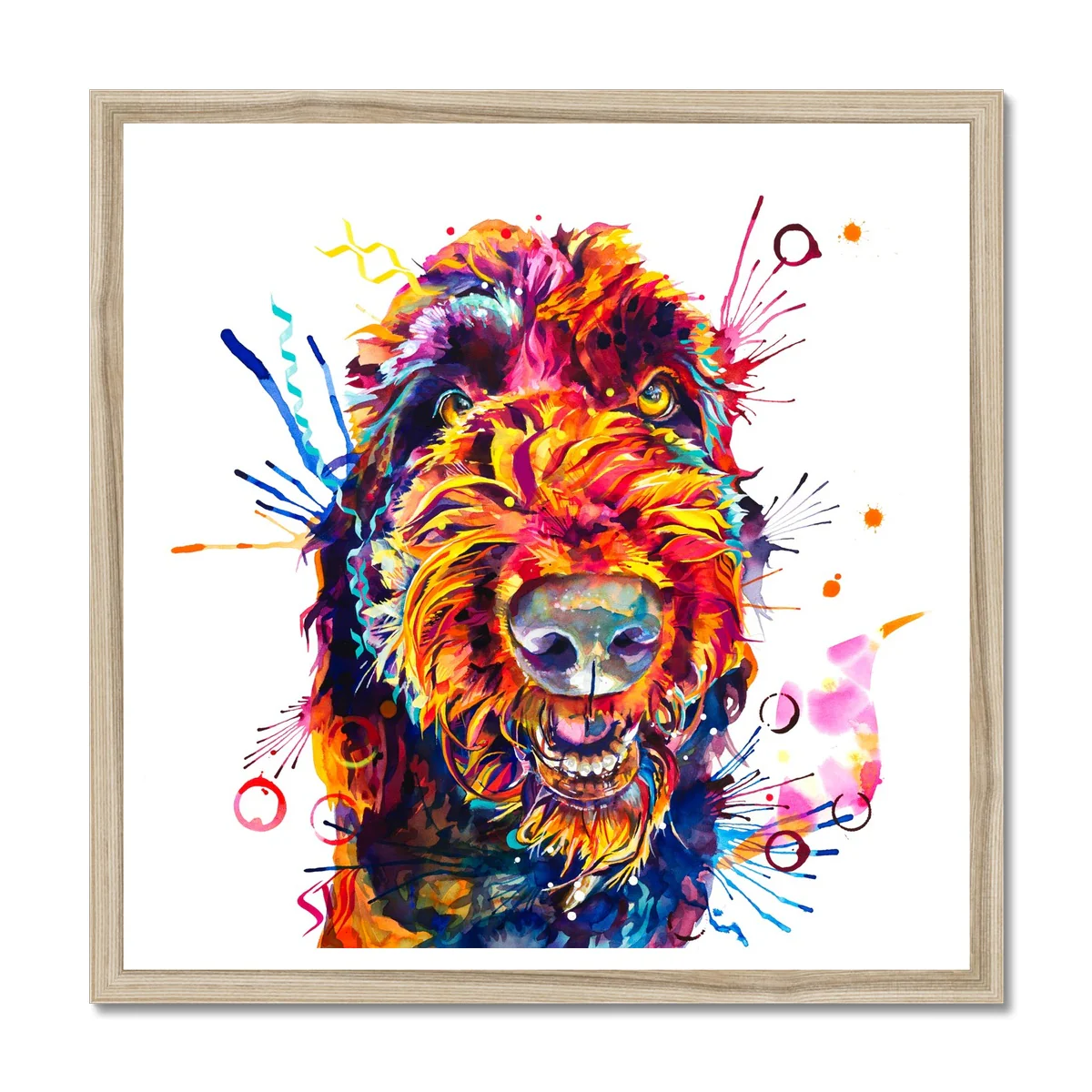 Dave the Newfypoo Framed Print - Image 3