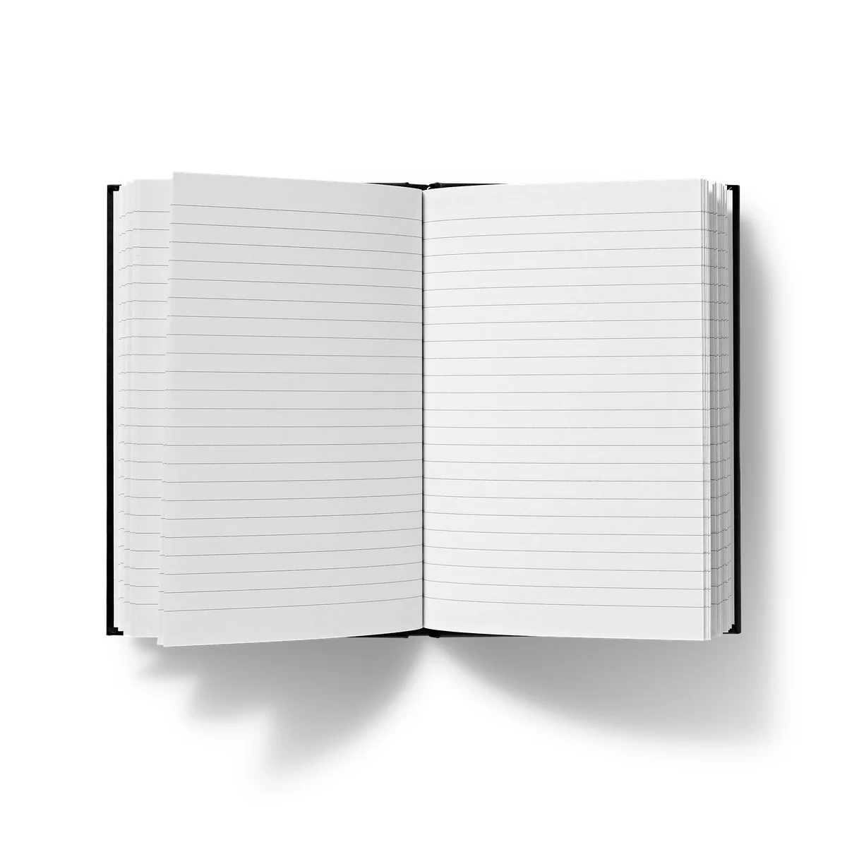 Dorian the Bear Hardback Journal - Image 9
