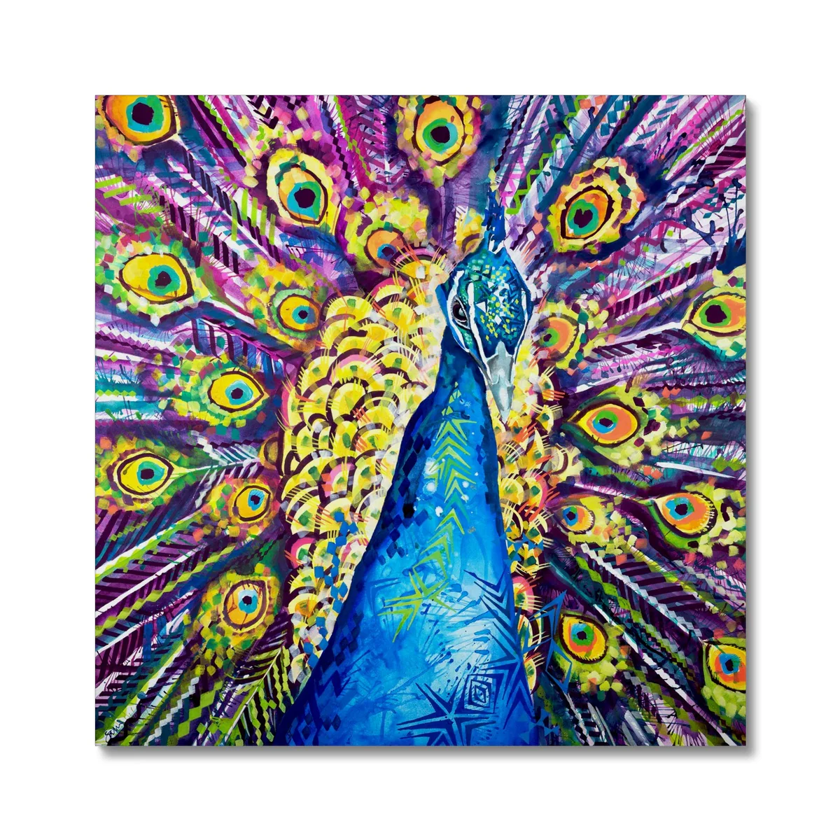 Dylan the Peacock Canvas