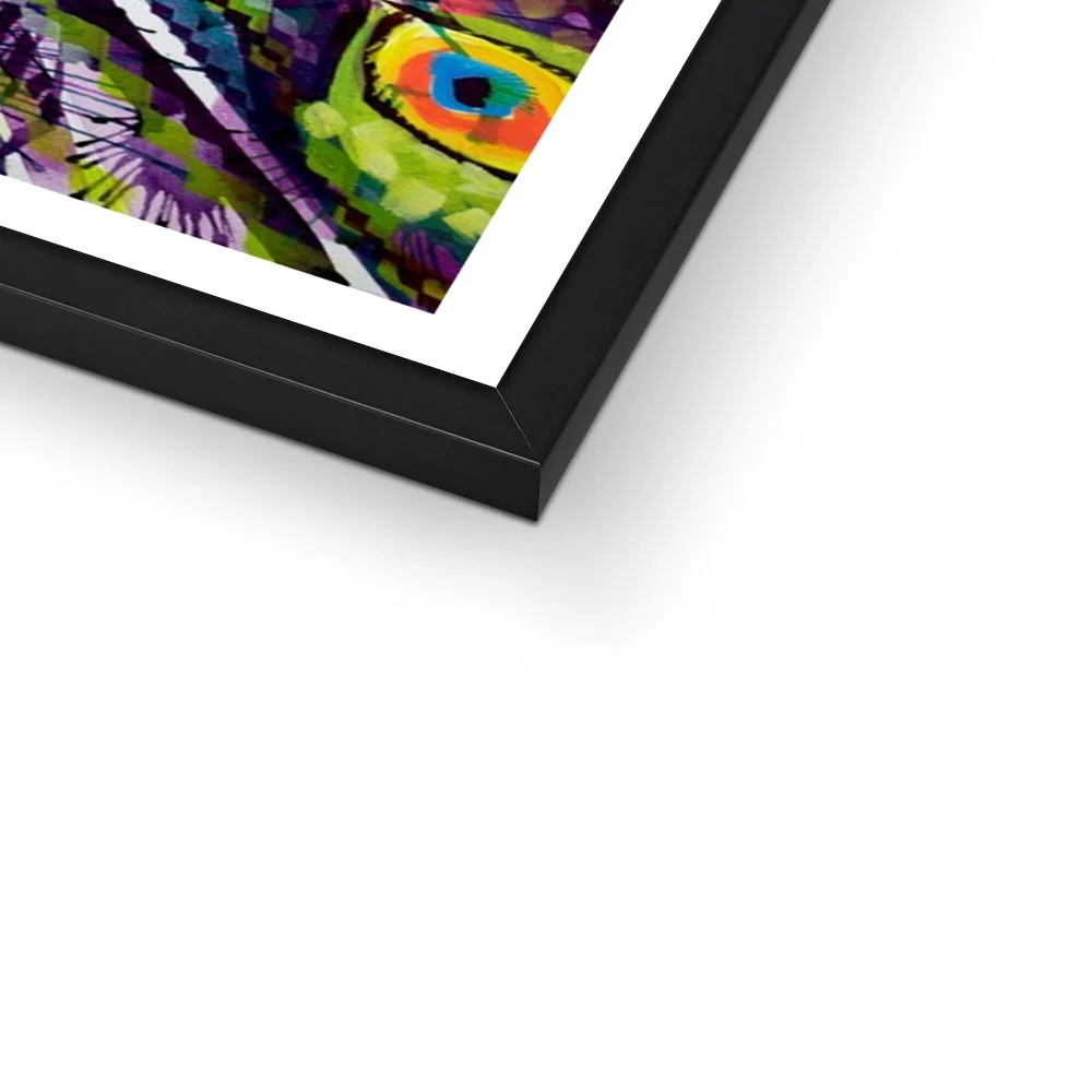 Dylan the Peacock Framed Print - Image 4