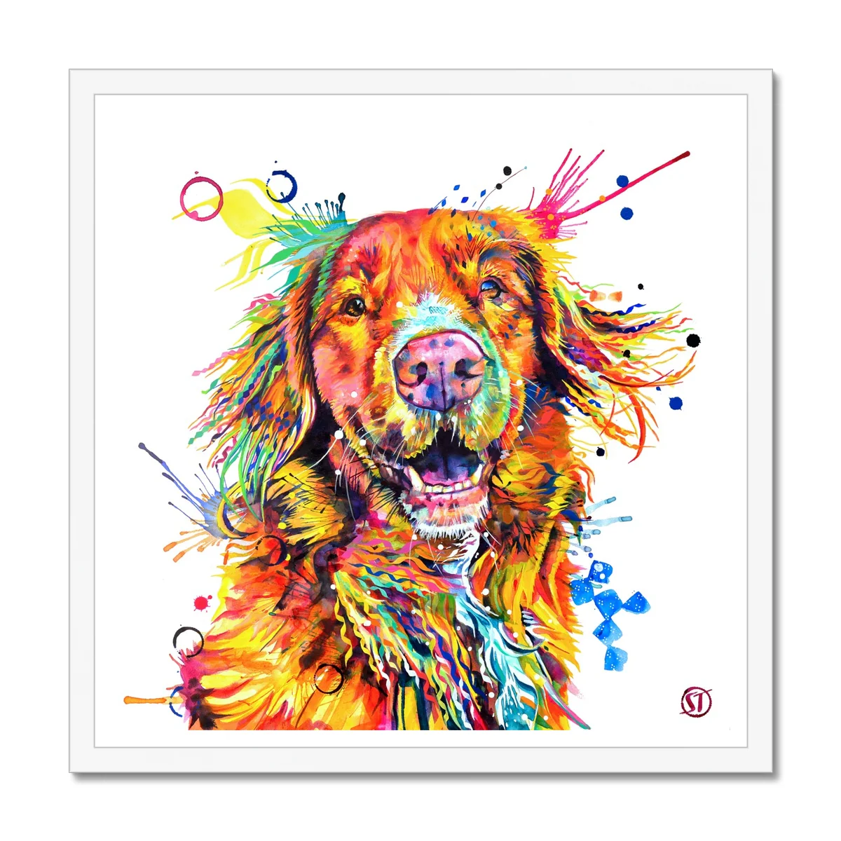 Effy the Duck Toller Framed Print - Image 2