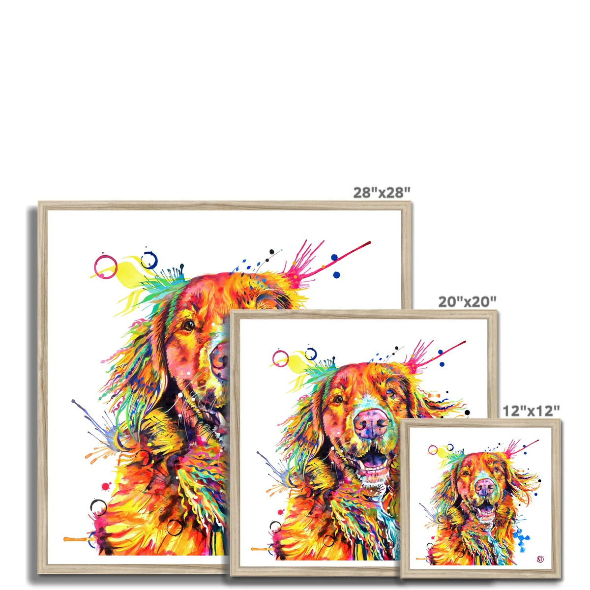 Effy the Duck Toller Framed Print - Image 9
