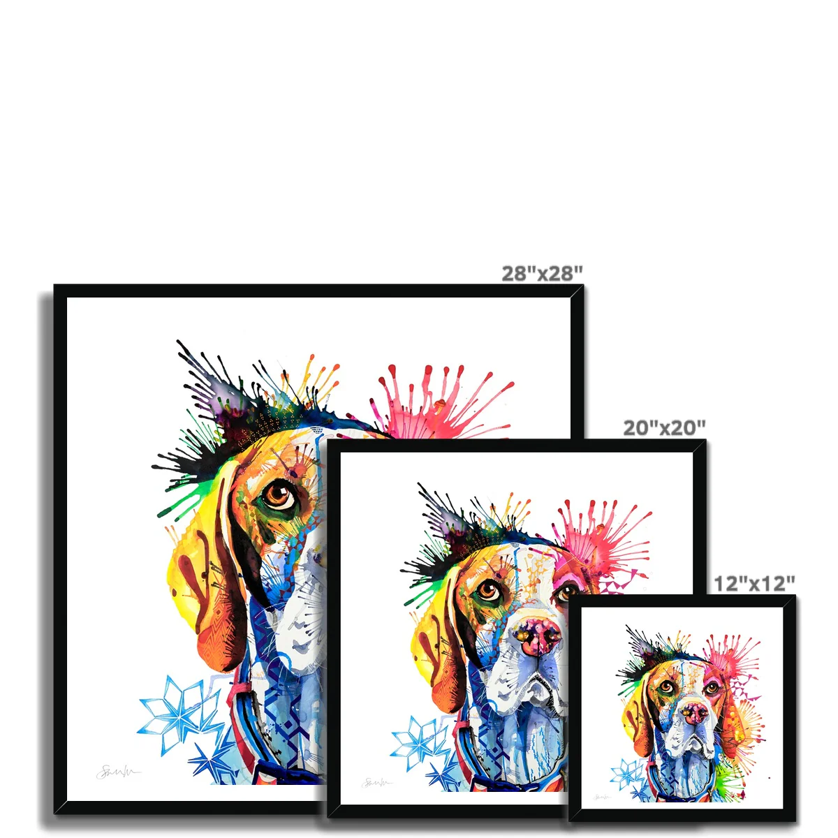 Poppy the English Pointer Framed Print - Image 11