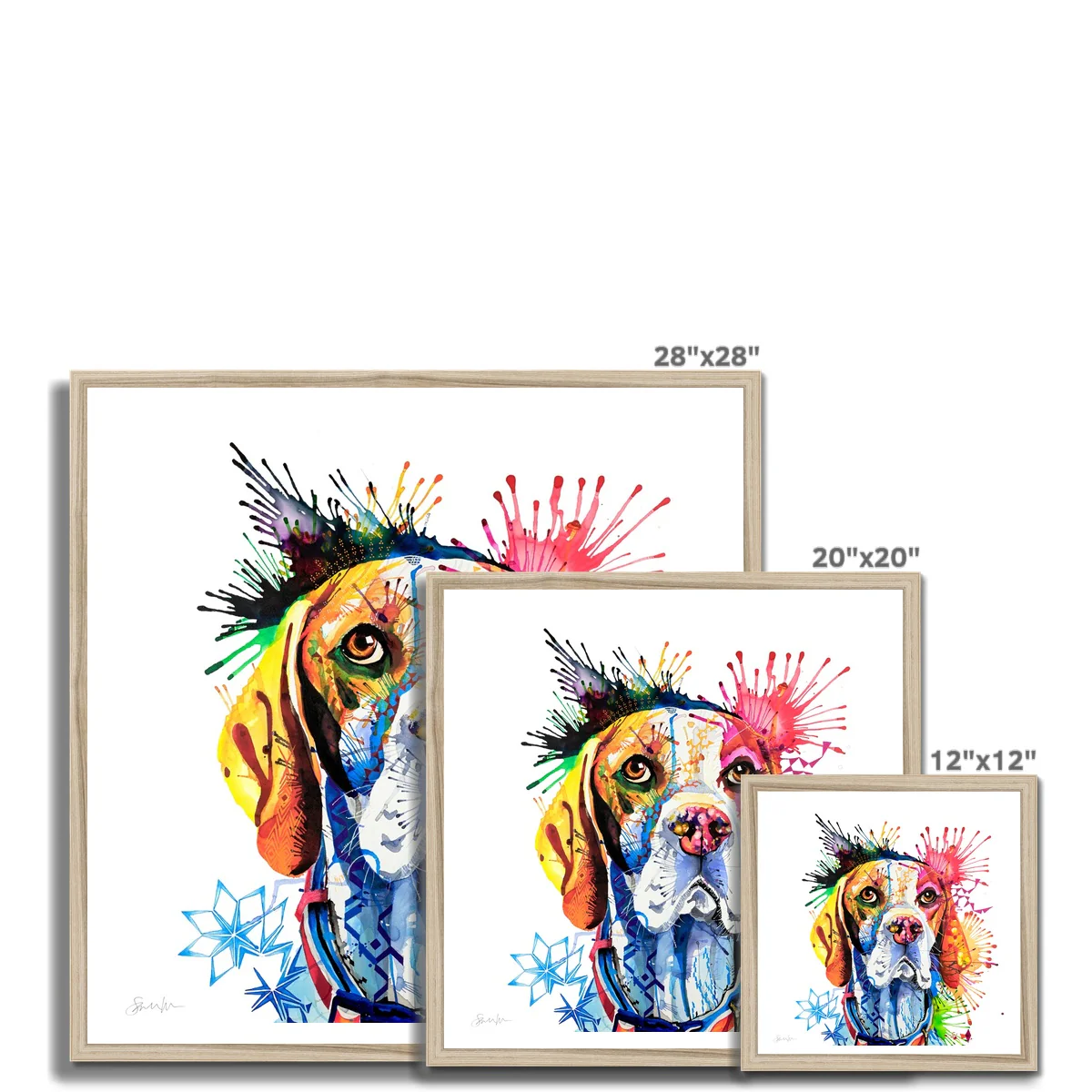 Poppy the English Pointer Framed Print - Image 12