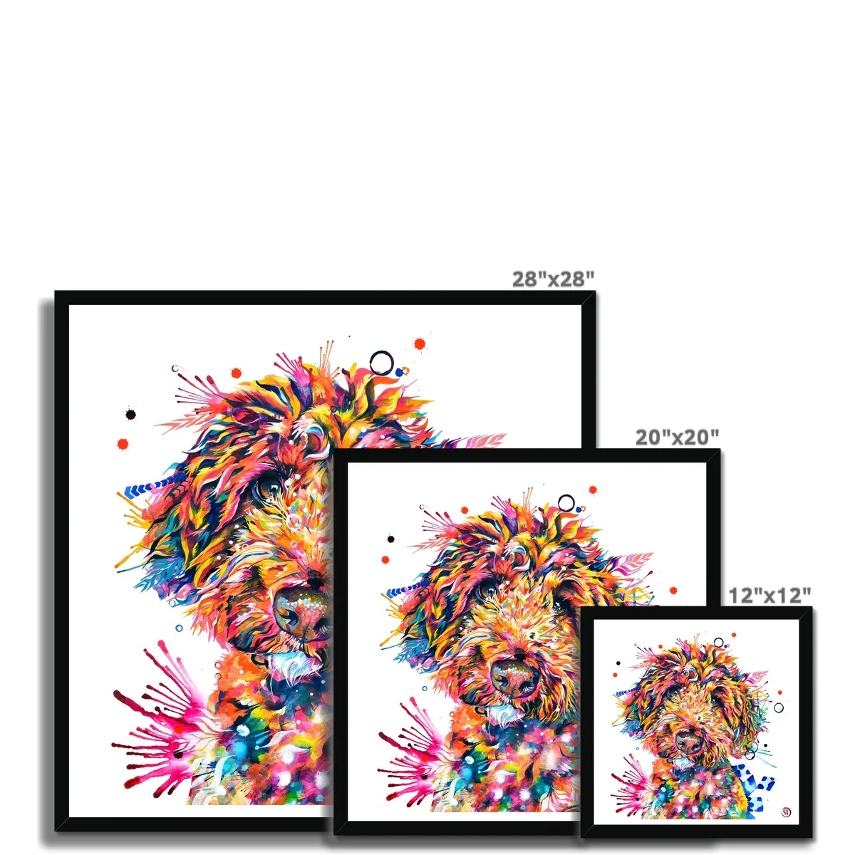 Geoffrey the Cockapoo Framed Print - Image 8