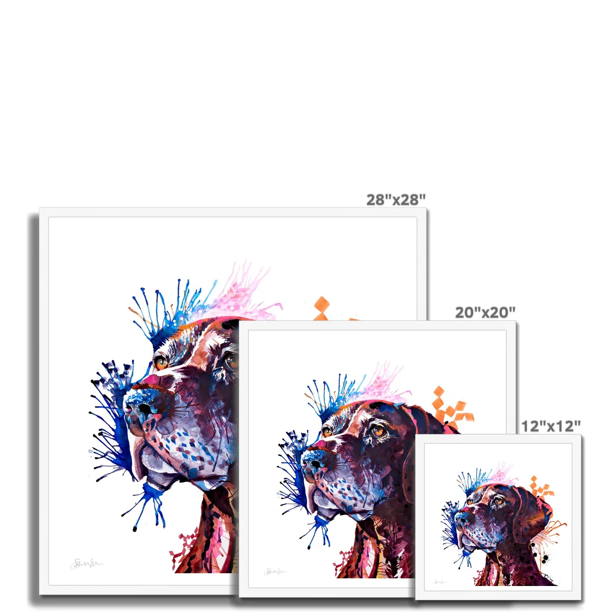 Percy the German Short-haired Pointer Framed Print - Image 10