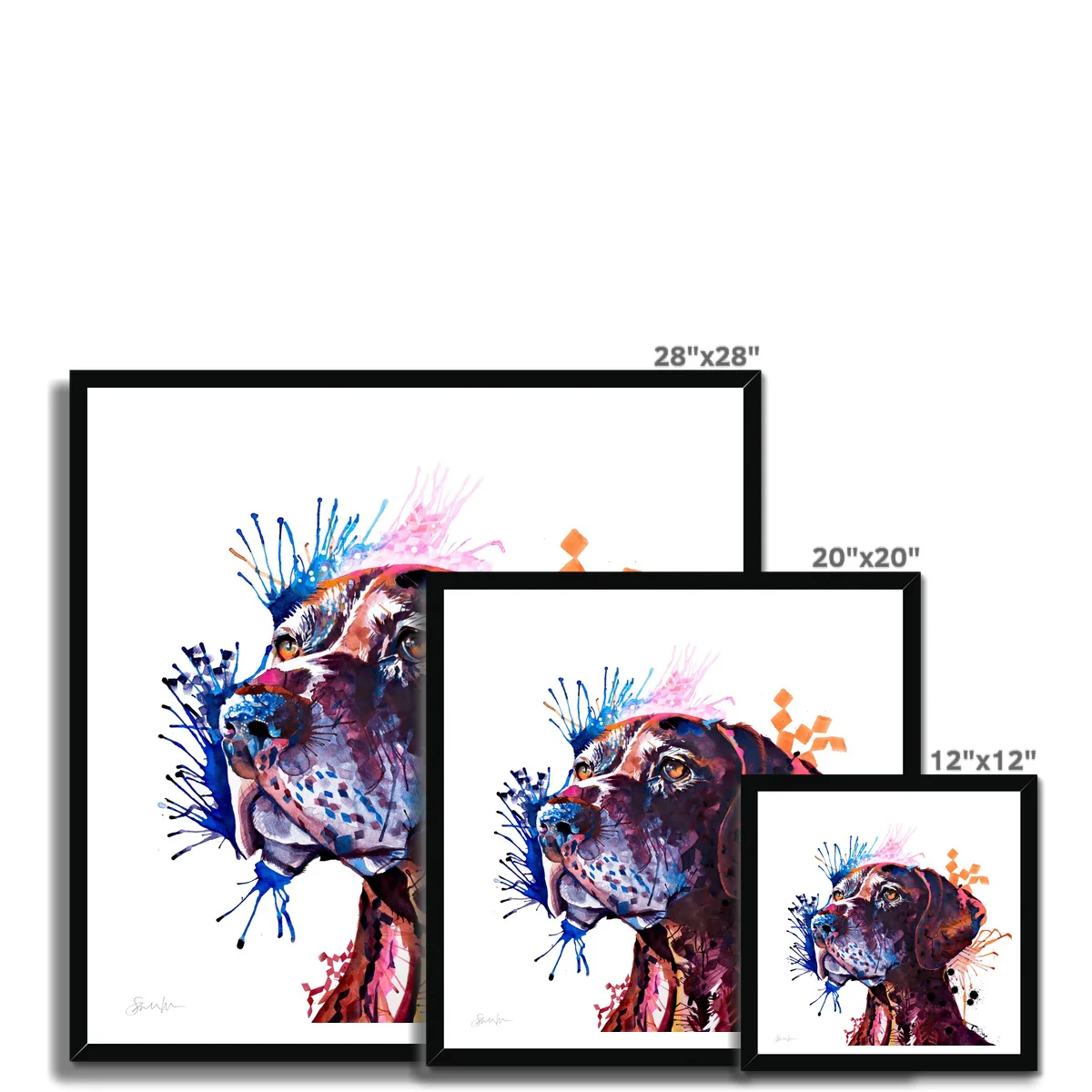 Percy the German Short-haired Pointer Framed Print - Image 11
