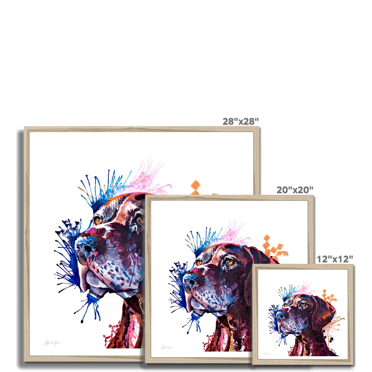 Percy the German Short-haired Pointer Framed Print - Image 12