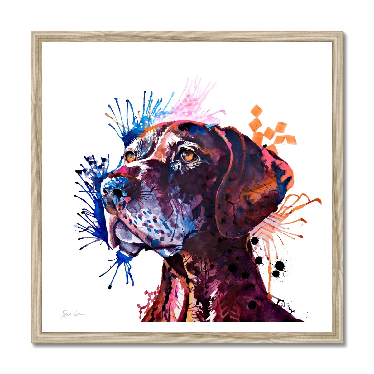 Percy the German Short-haired Pointer Framed Print - Image 3