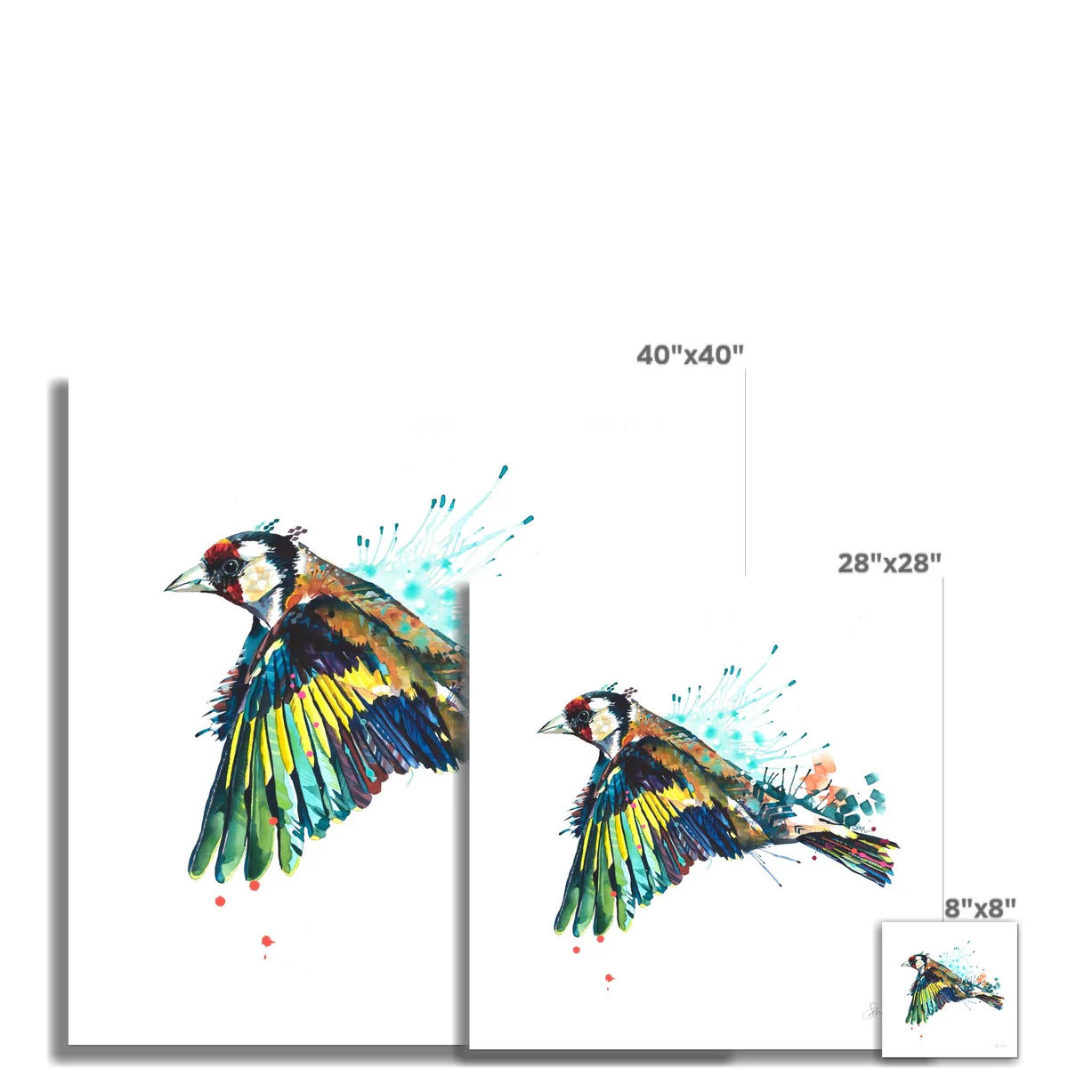 Goldie the Goldfinch Fine Art Print - Image 3