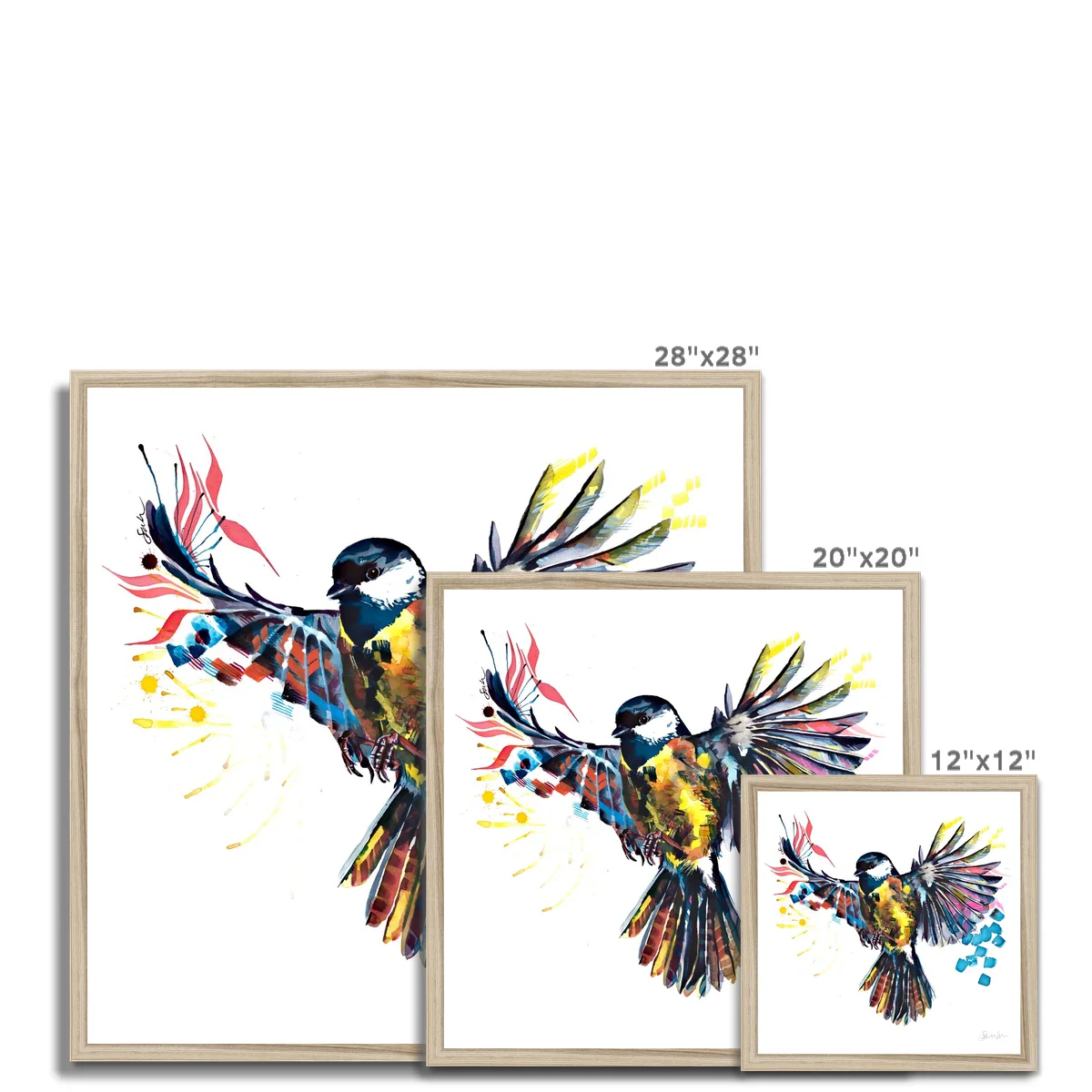 Grace the Flying Bird Framed Print - Image 13