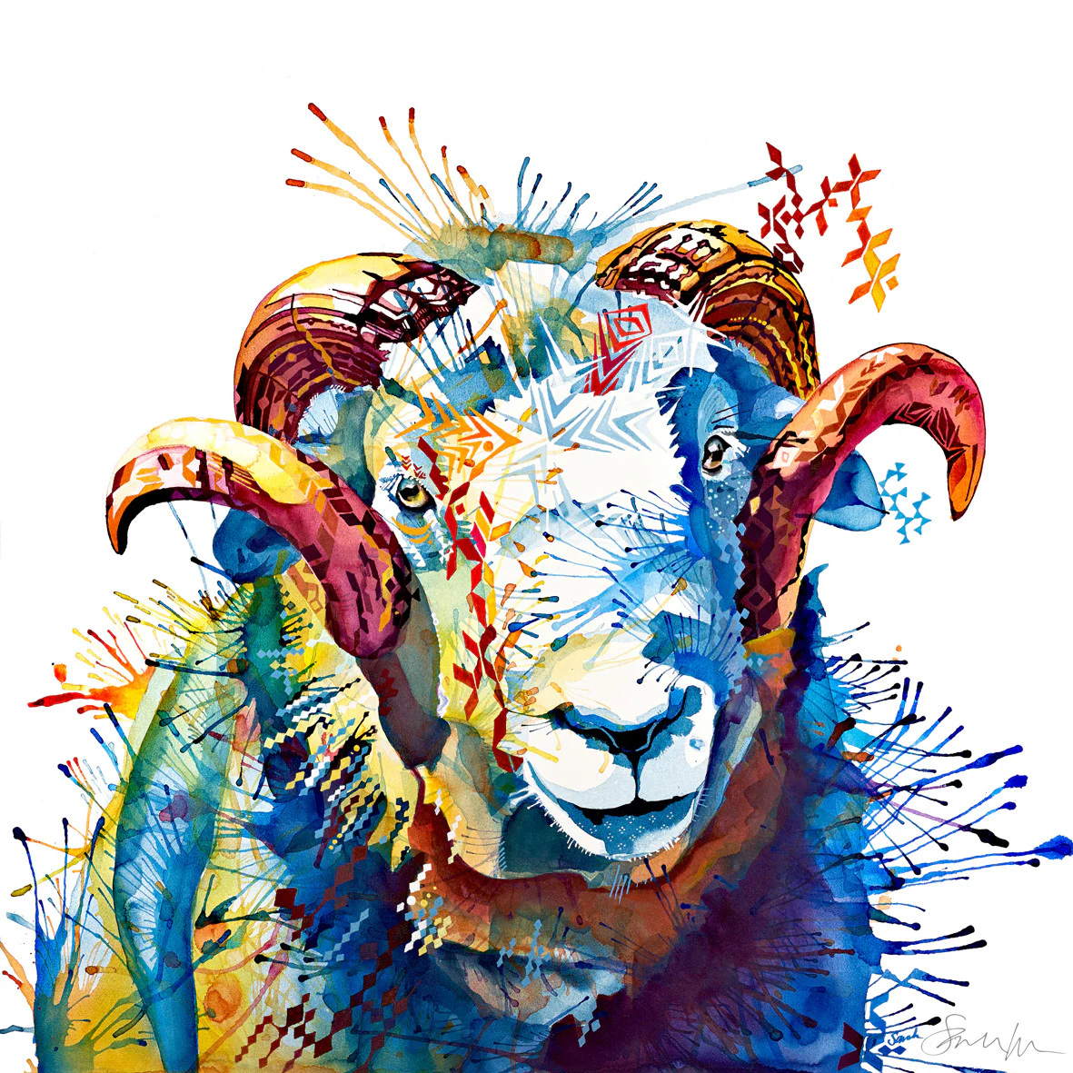 Heathcliffe the Sheep Framed Canvas - Image 3