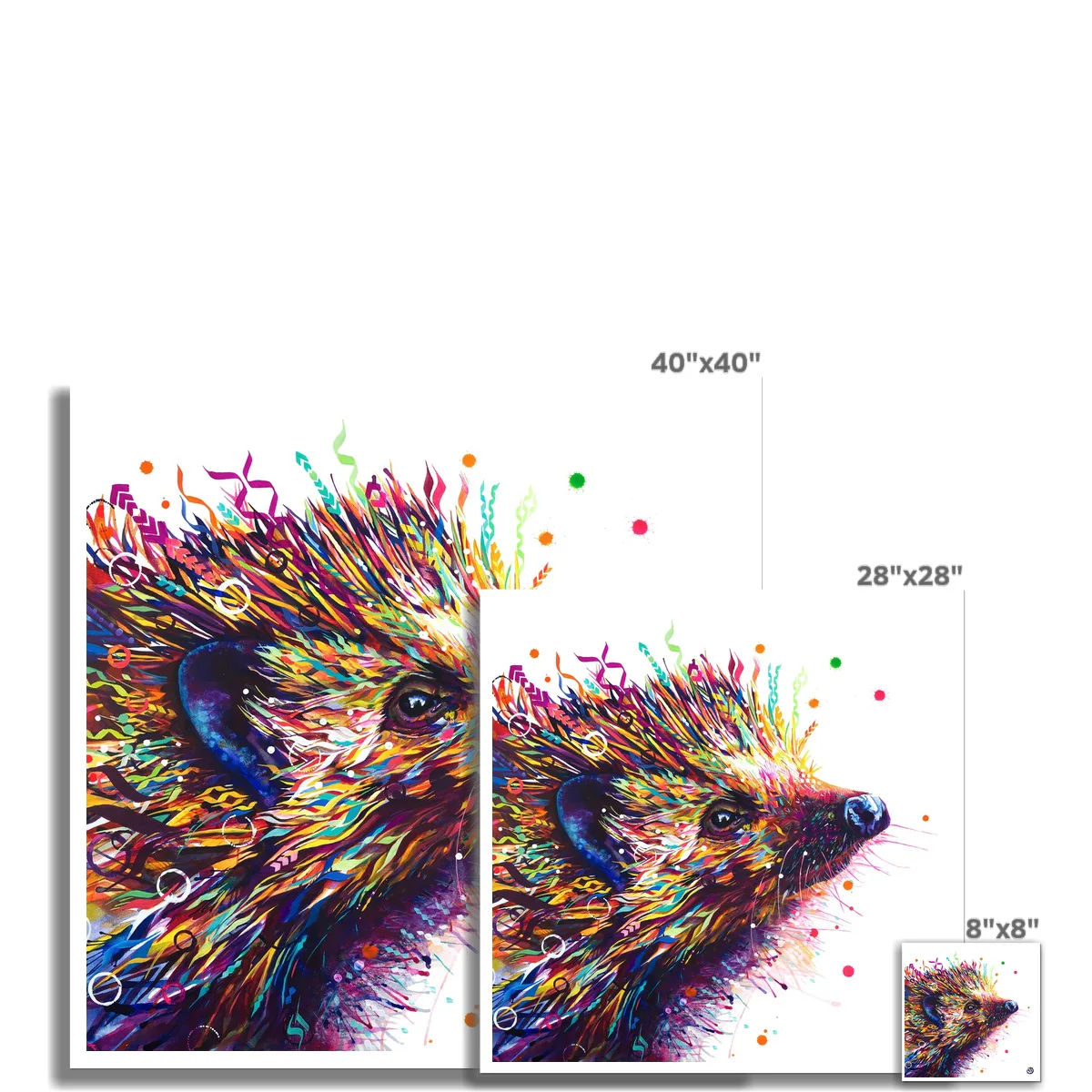 Horace the Hedgehog Fine Art Print - Image 3