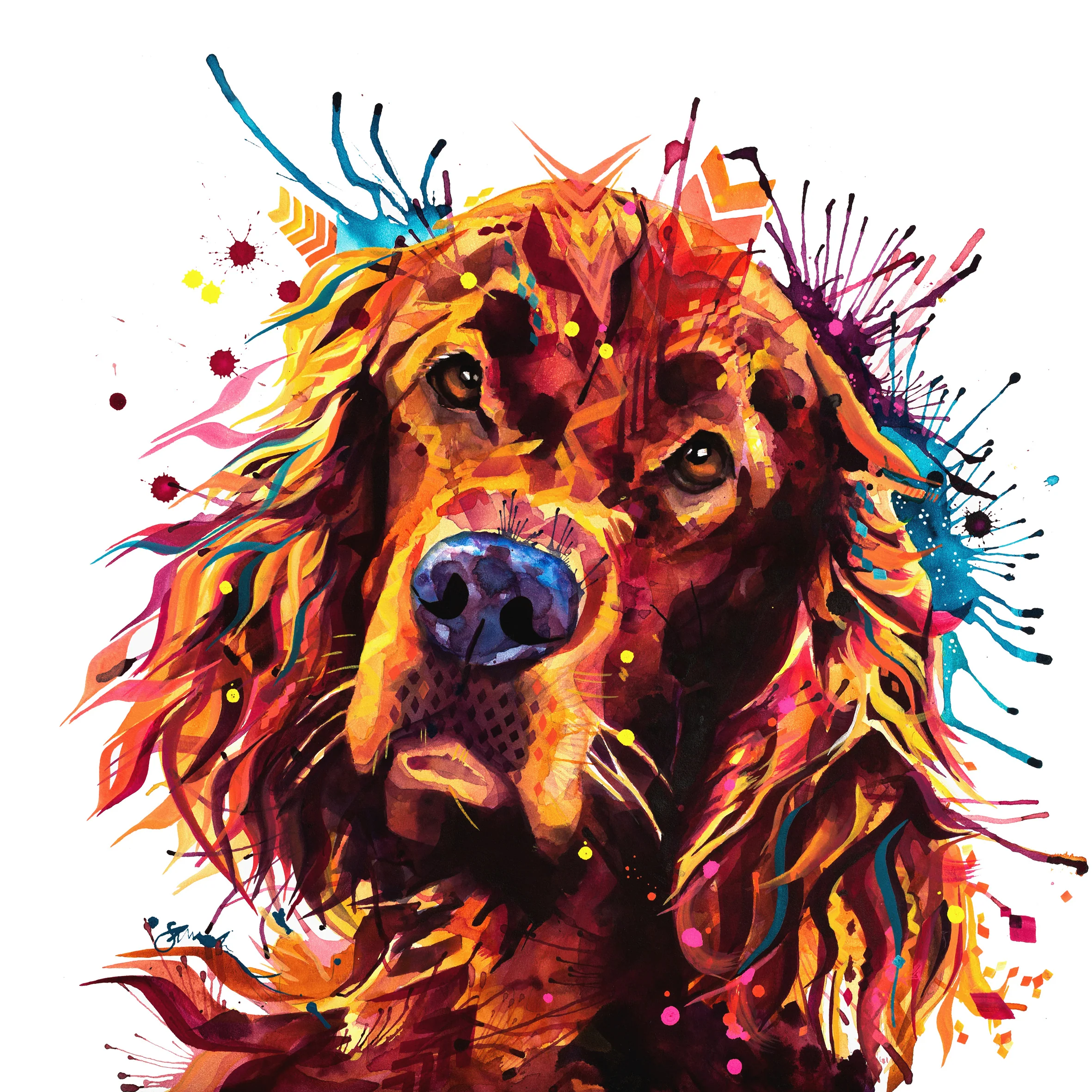 Freddy the Irish Setter Framed Canvas - Image 4