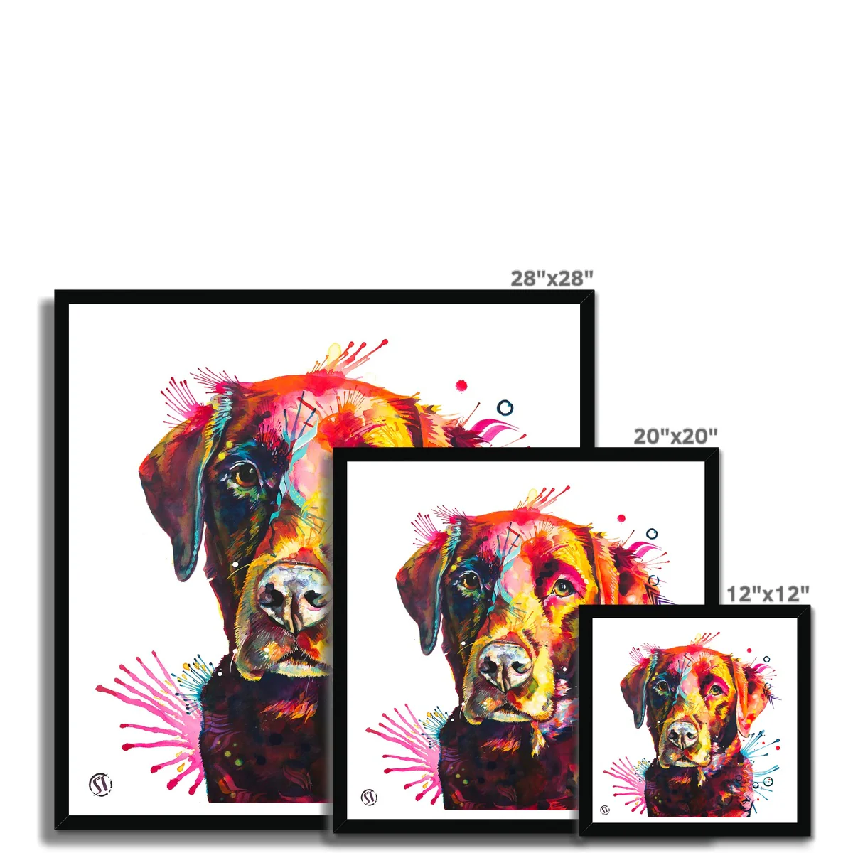 Ivy the Chocolate Labrador Framed Print - Image 8