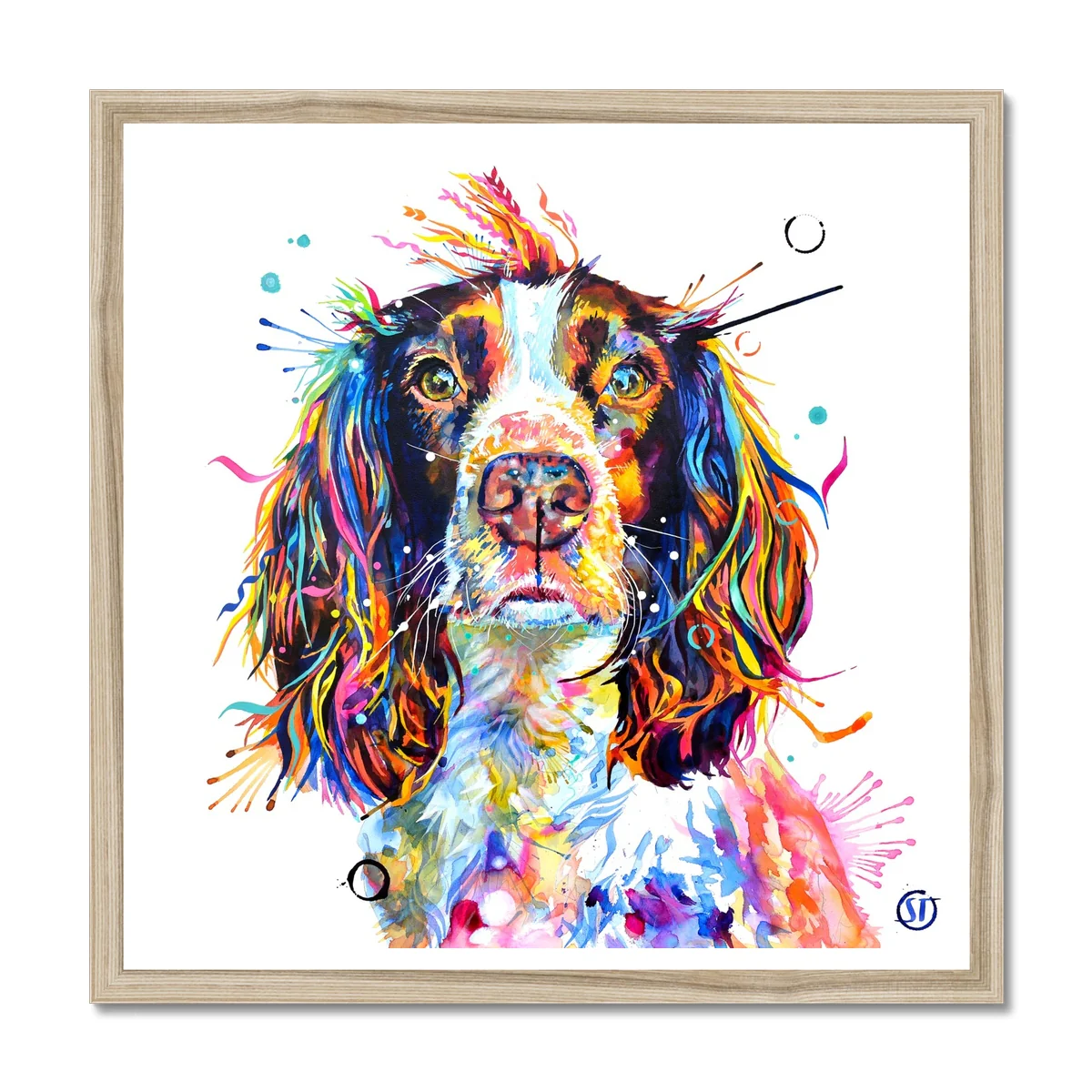 Ivy the Sprocker Spaniel Framed Print - Image 3