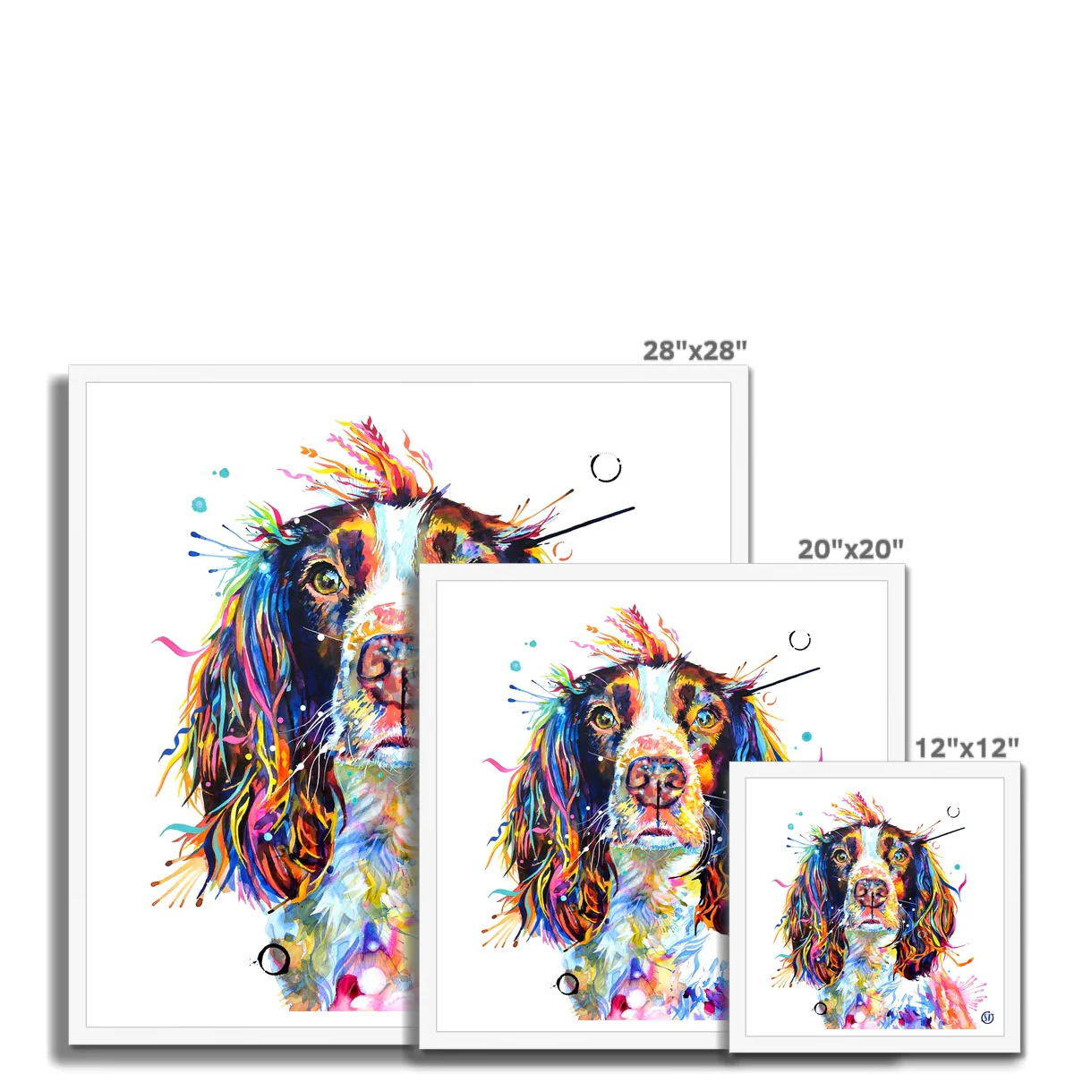 Ivy the Sprocker Spaniel Framed Print - Image 8
