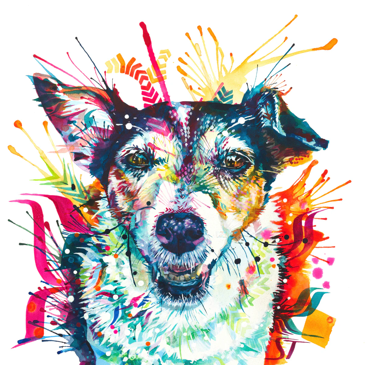 Pippin the Jack Russell Framed Canvas - Image 3