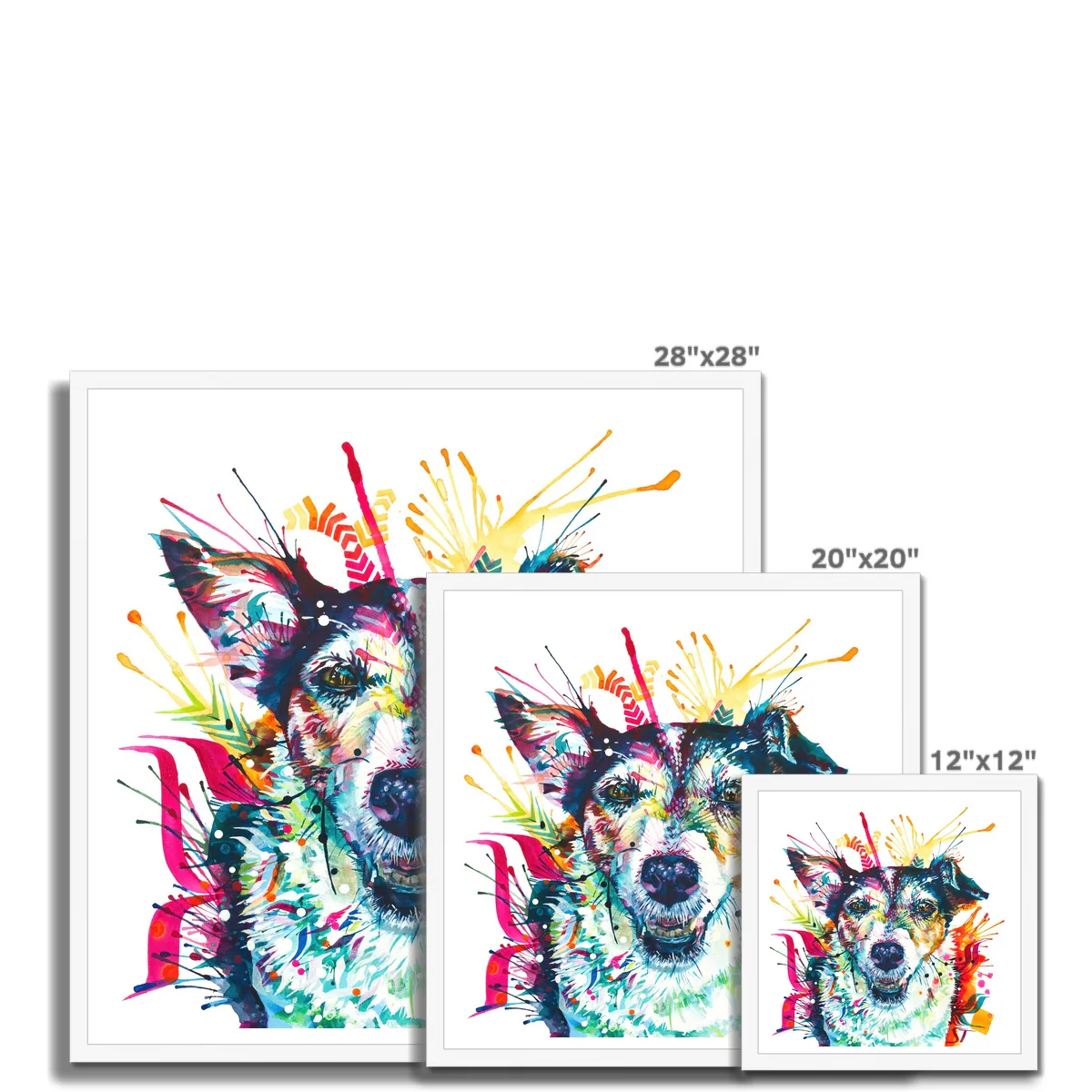 Pippin the Jack Russell Framed Print - Image 10
