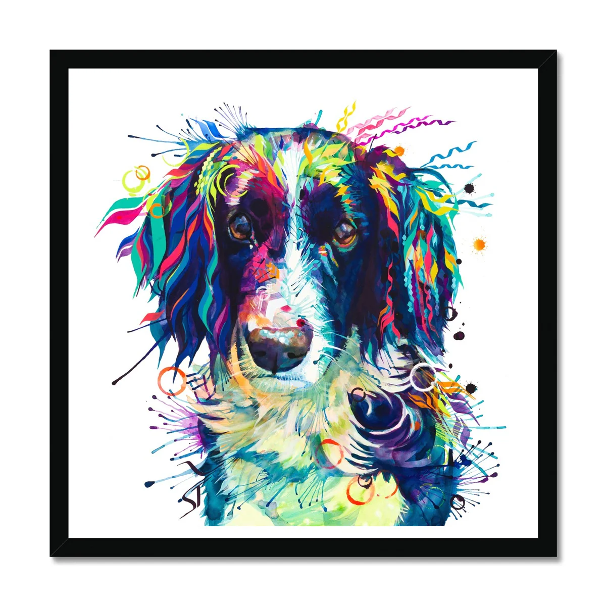 Jake the Springer Spaniel Framed Print