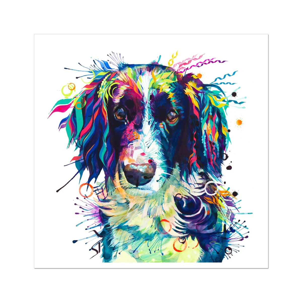 Jake the Springer Spaniel Fine Art Print