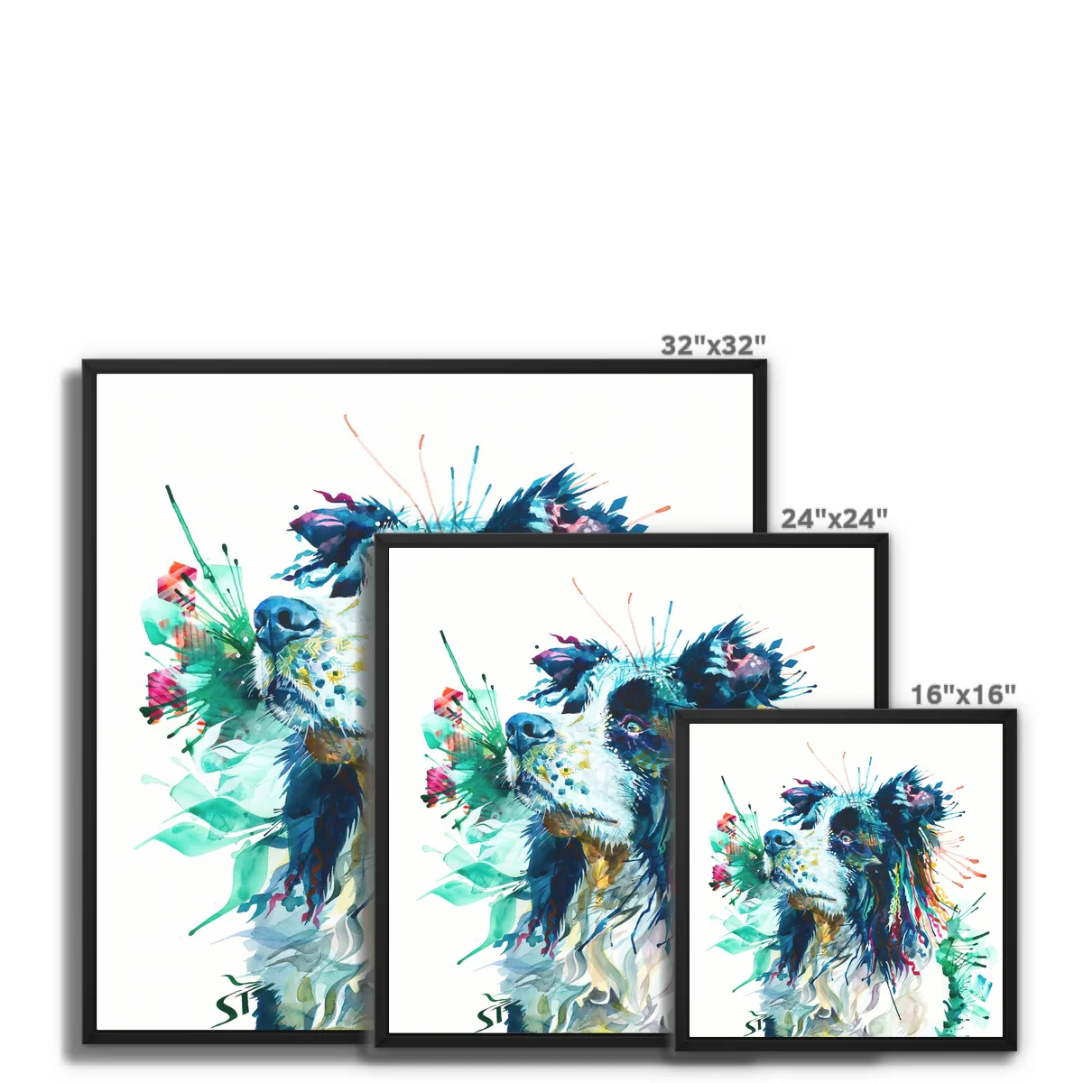 Jasper the Border Collie Framed Canvas - Image 2