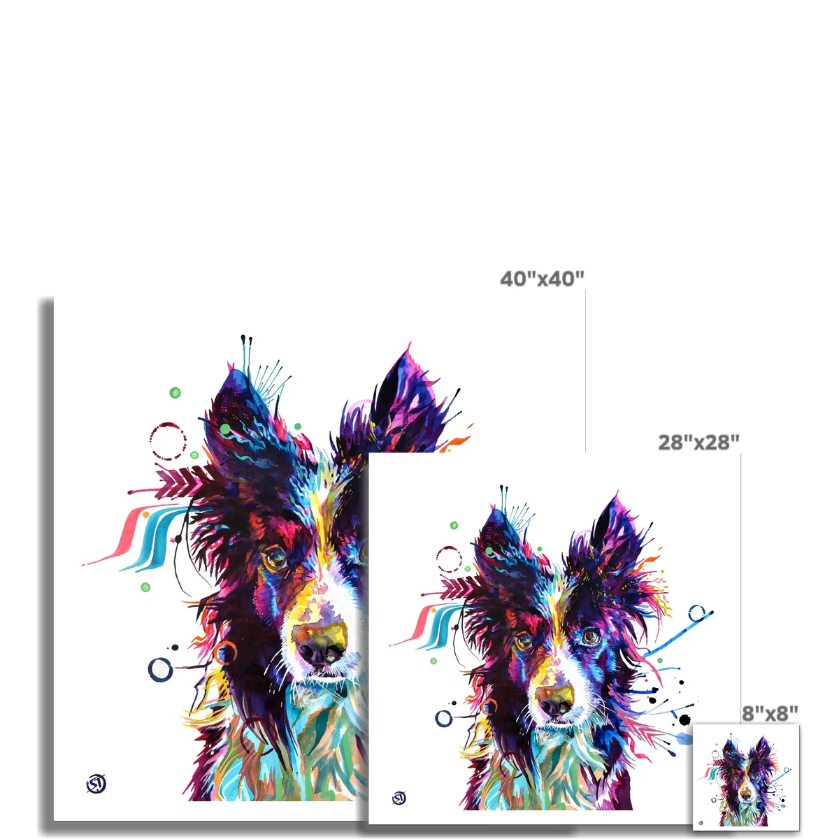 Jip the Border Collie Fine Art Print - Image 3