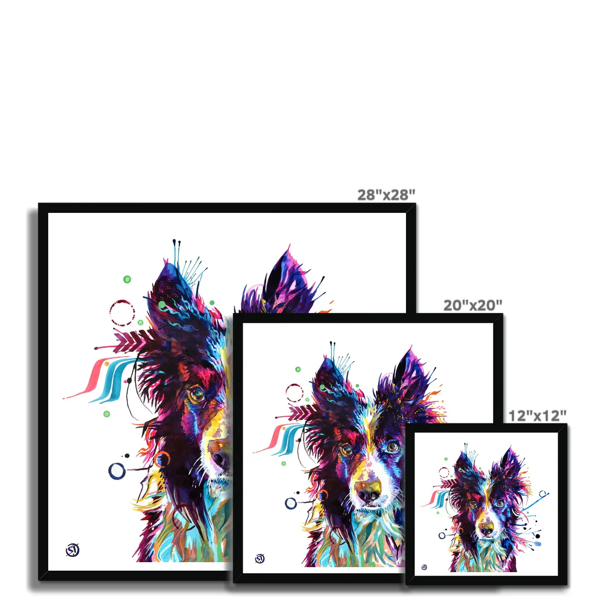 Jip the Border Collie Framed Print - Image 7