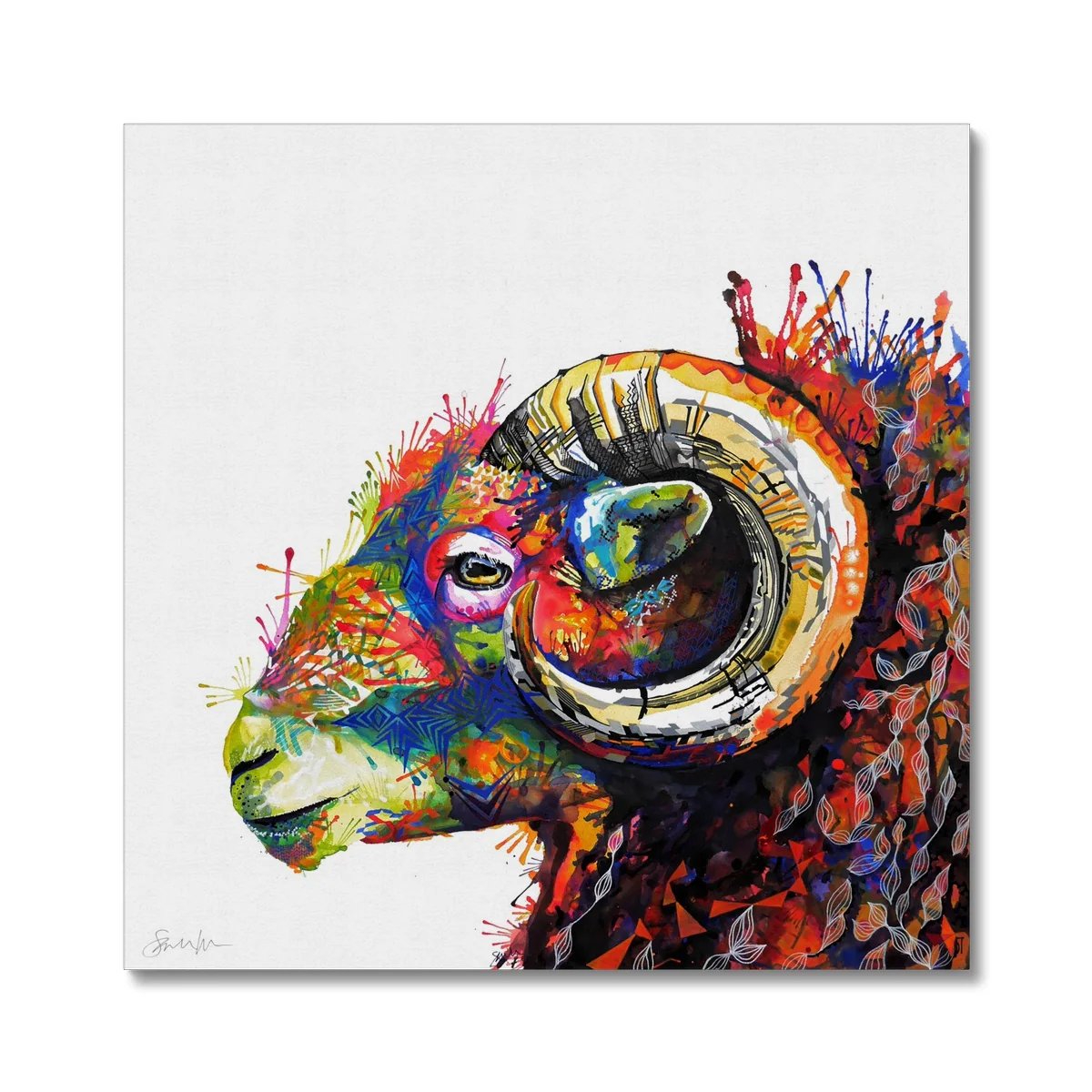 King Arthur the Herdwick Ram Canvas